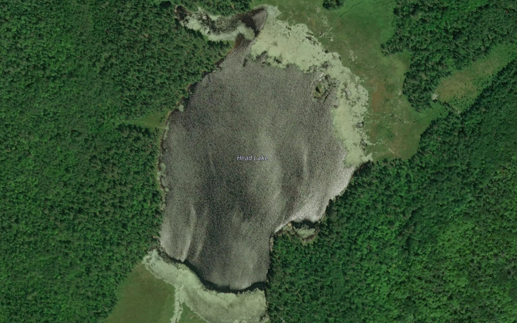Satellite map of the Head Lake