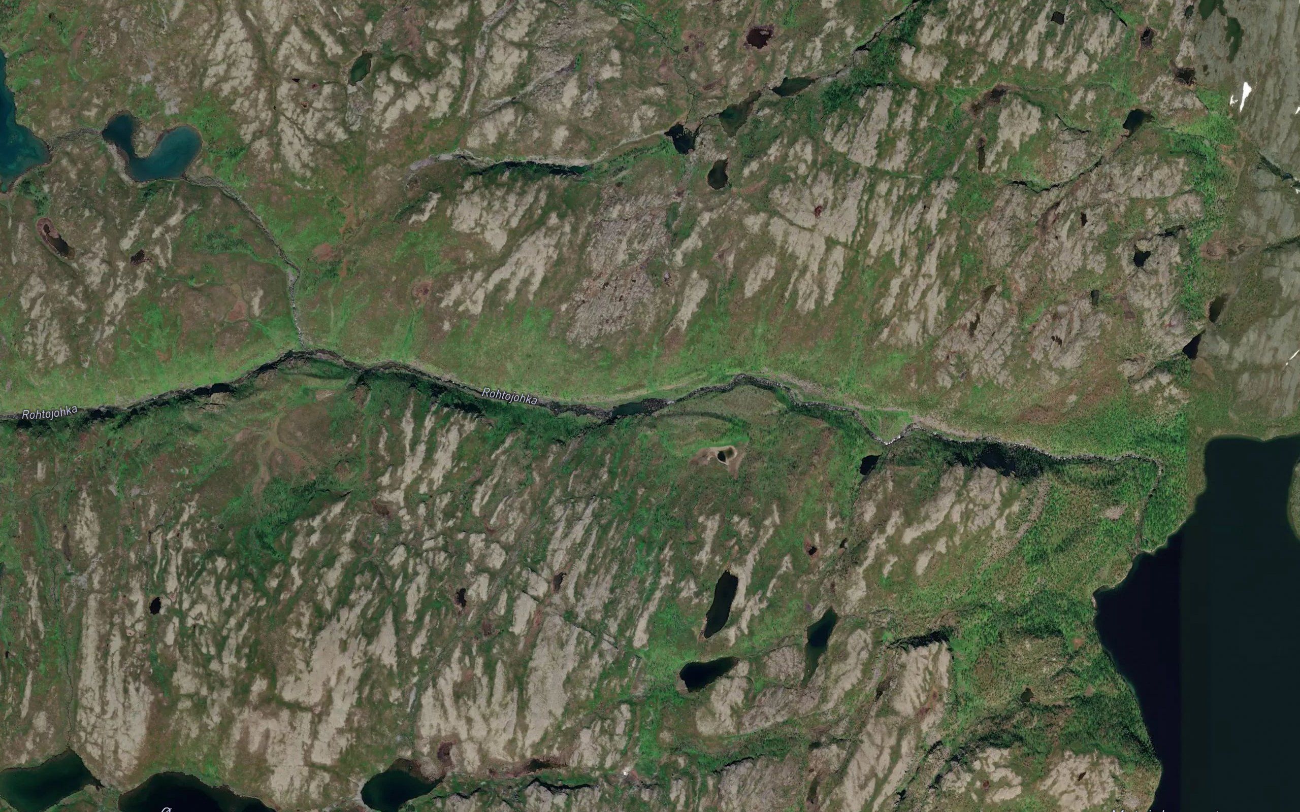 Rohtojohka