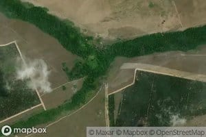 Morichal Morrocoicito