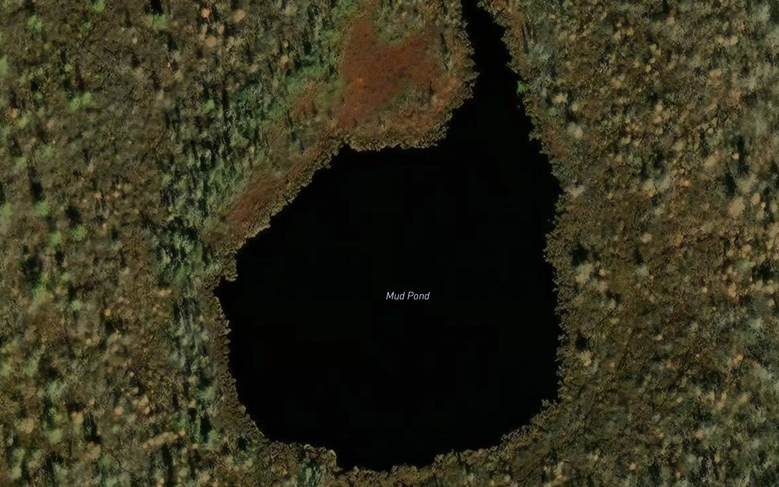 Mud Pond