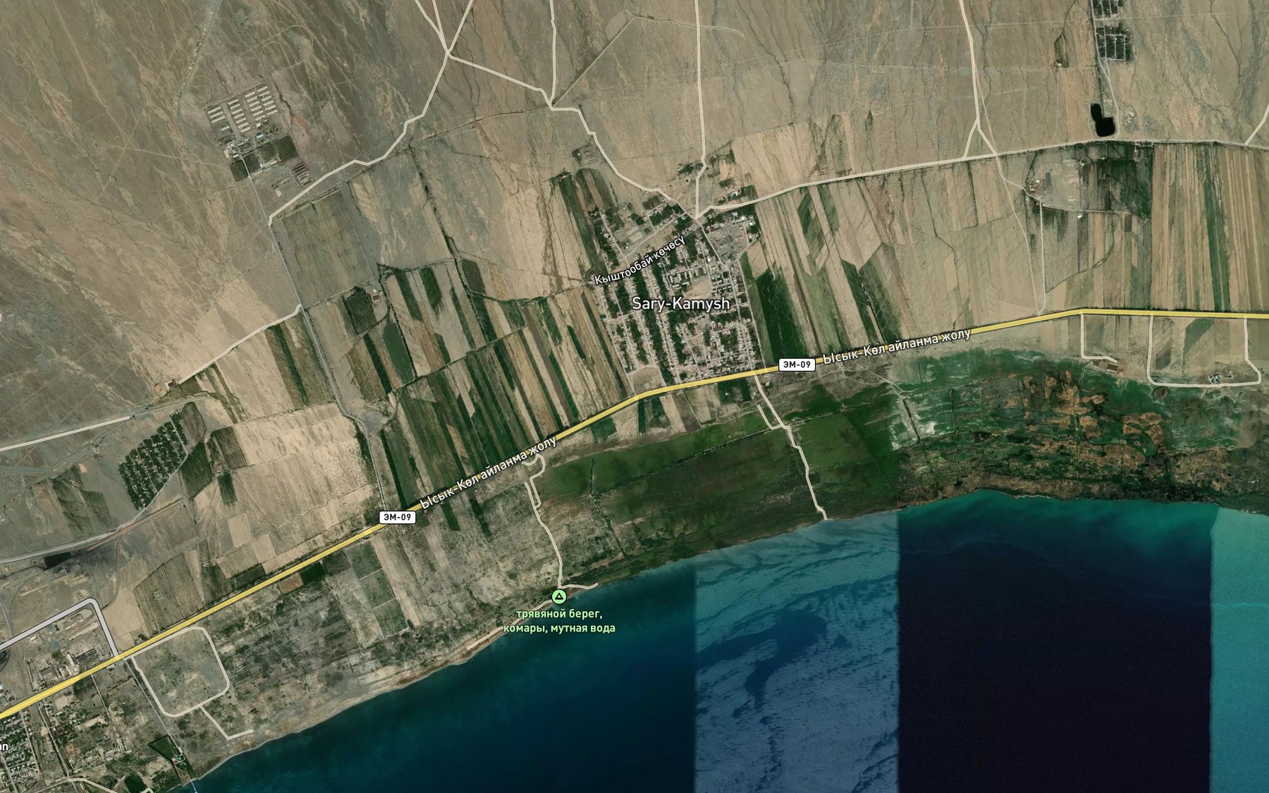 Satellite map of the Aryk Taldybulak