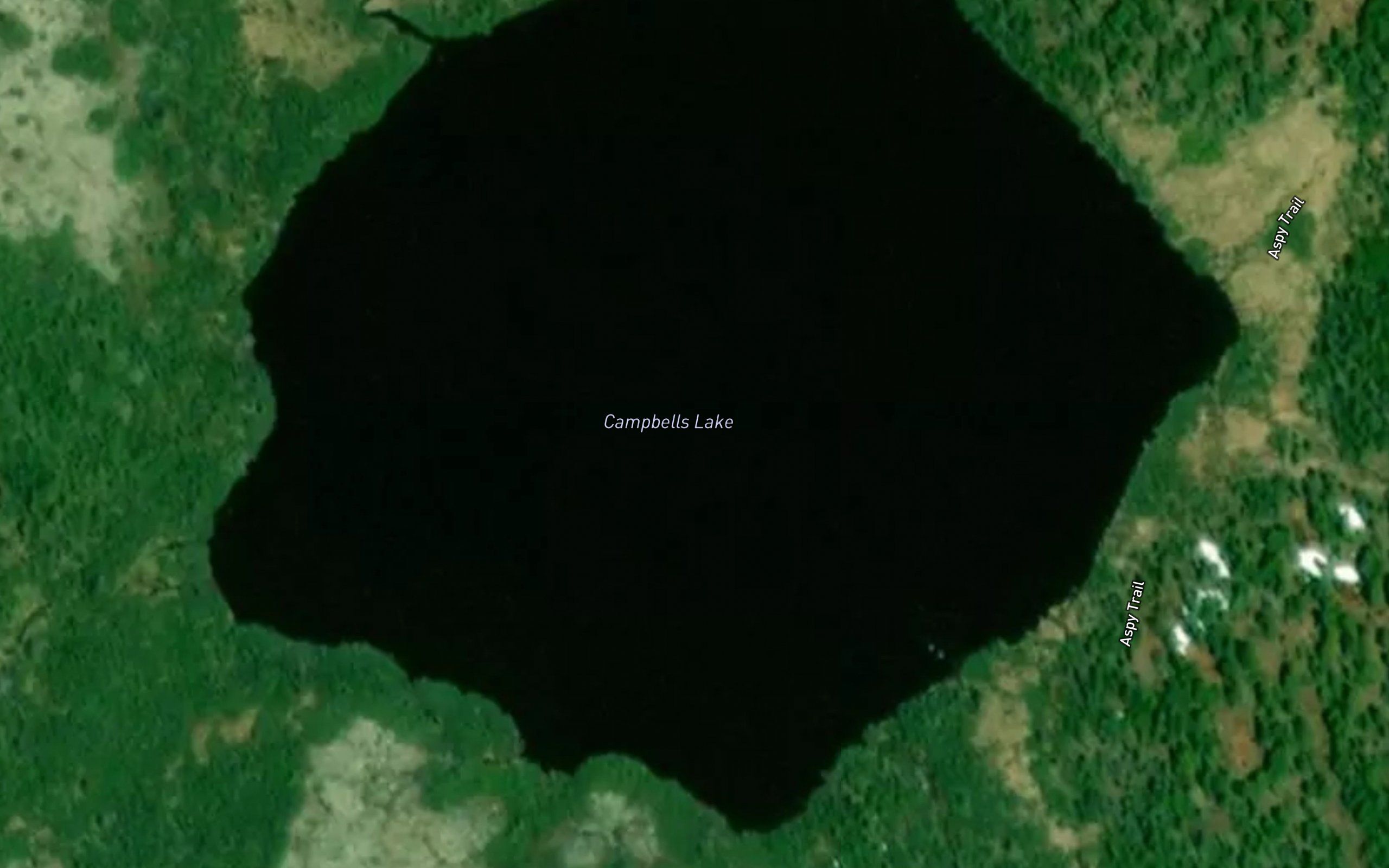 Campbells Lake