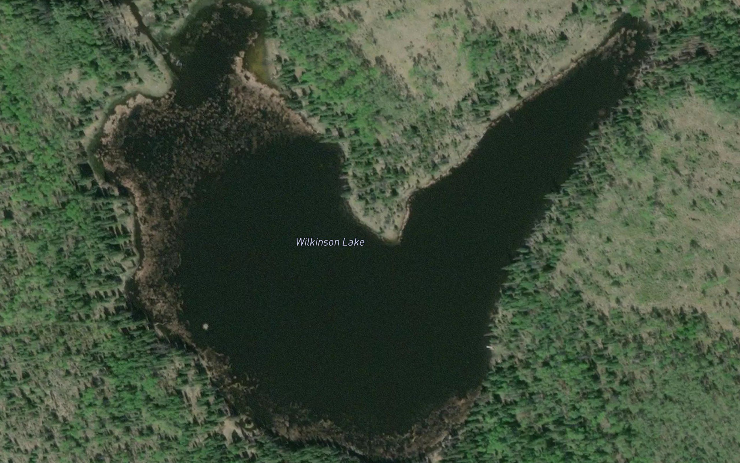 Wilkinson Lake