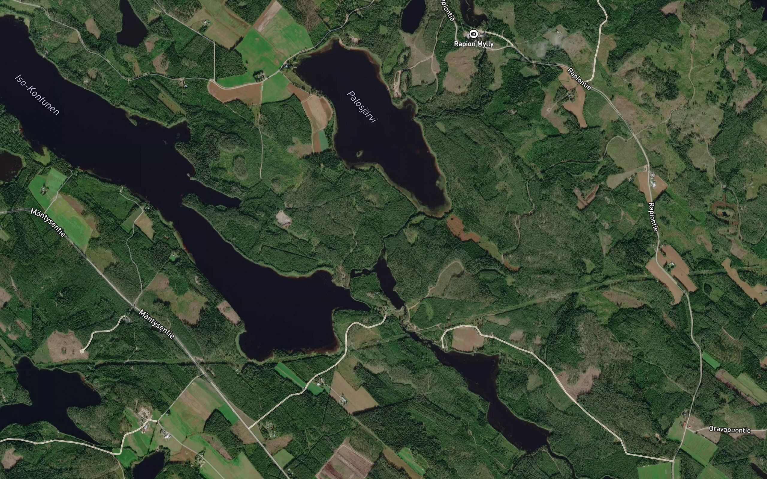 Palosjoki