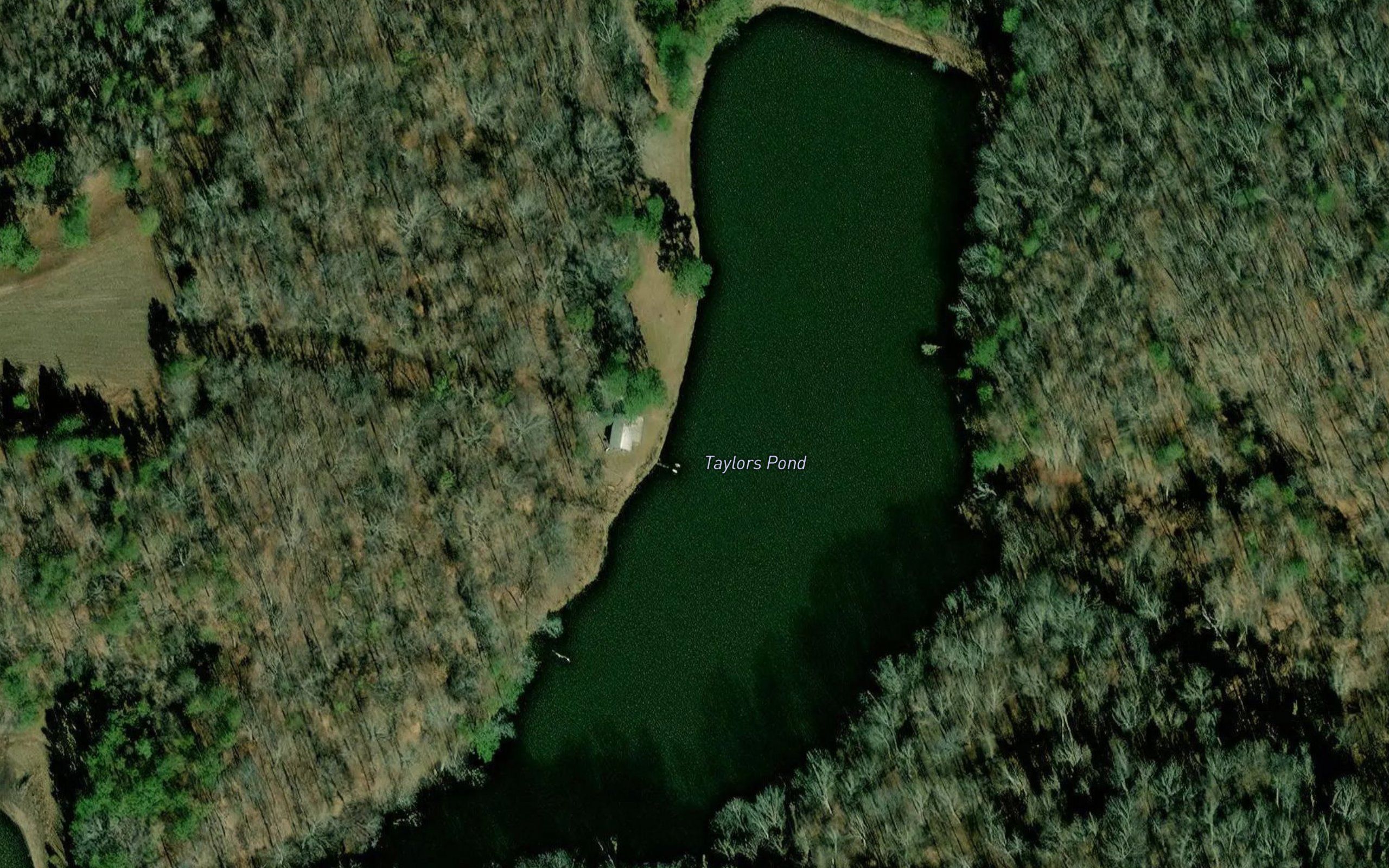 Taylors Pond