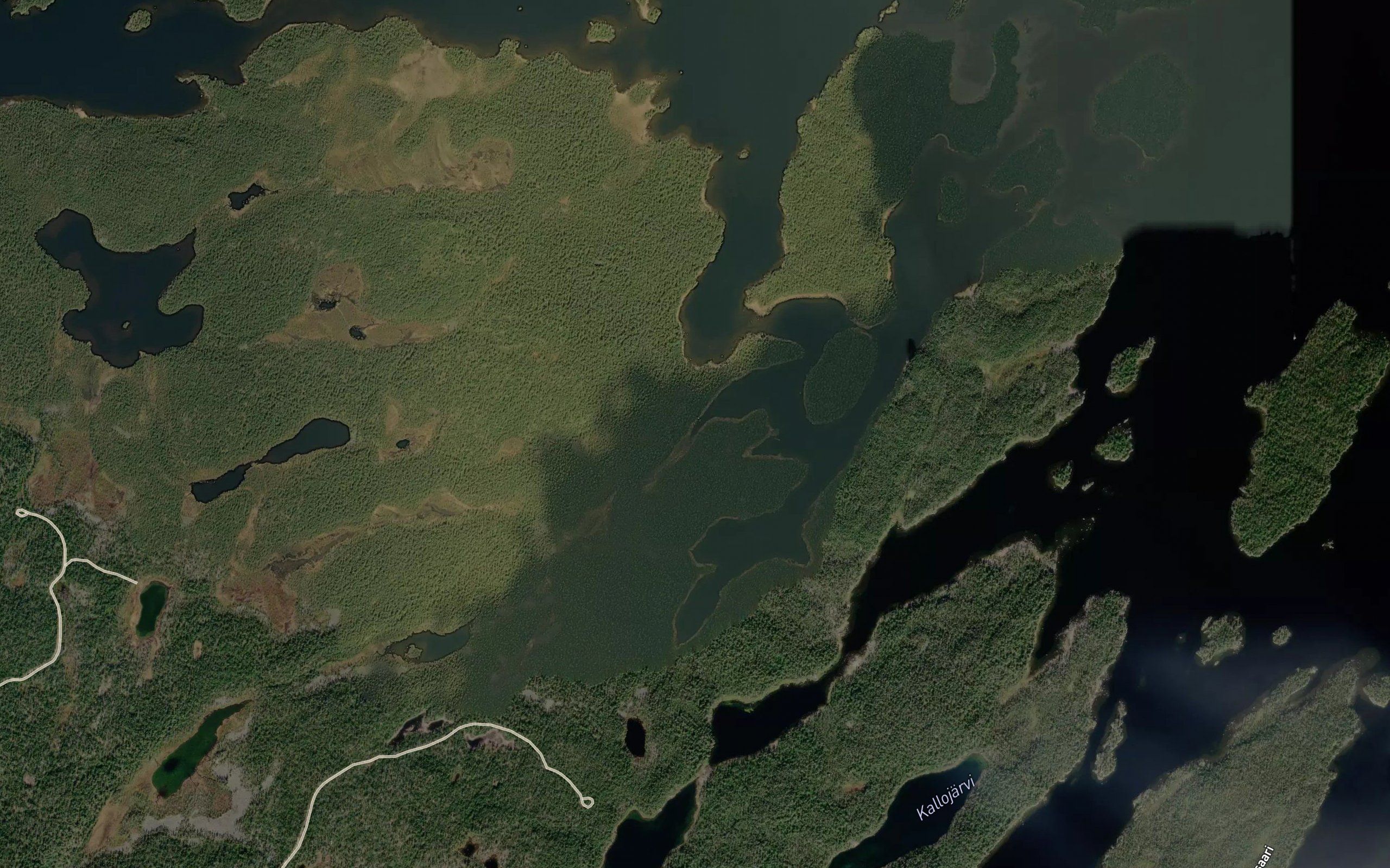 Korteoja