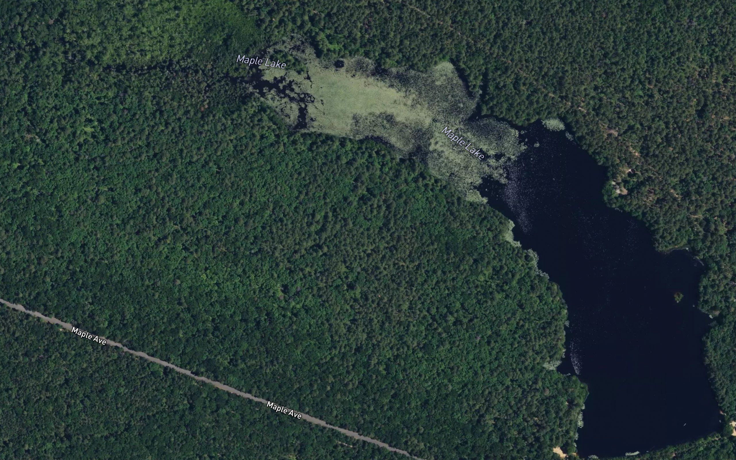 Maple Lake