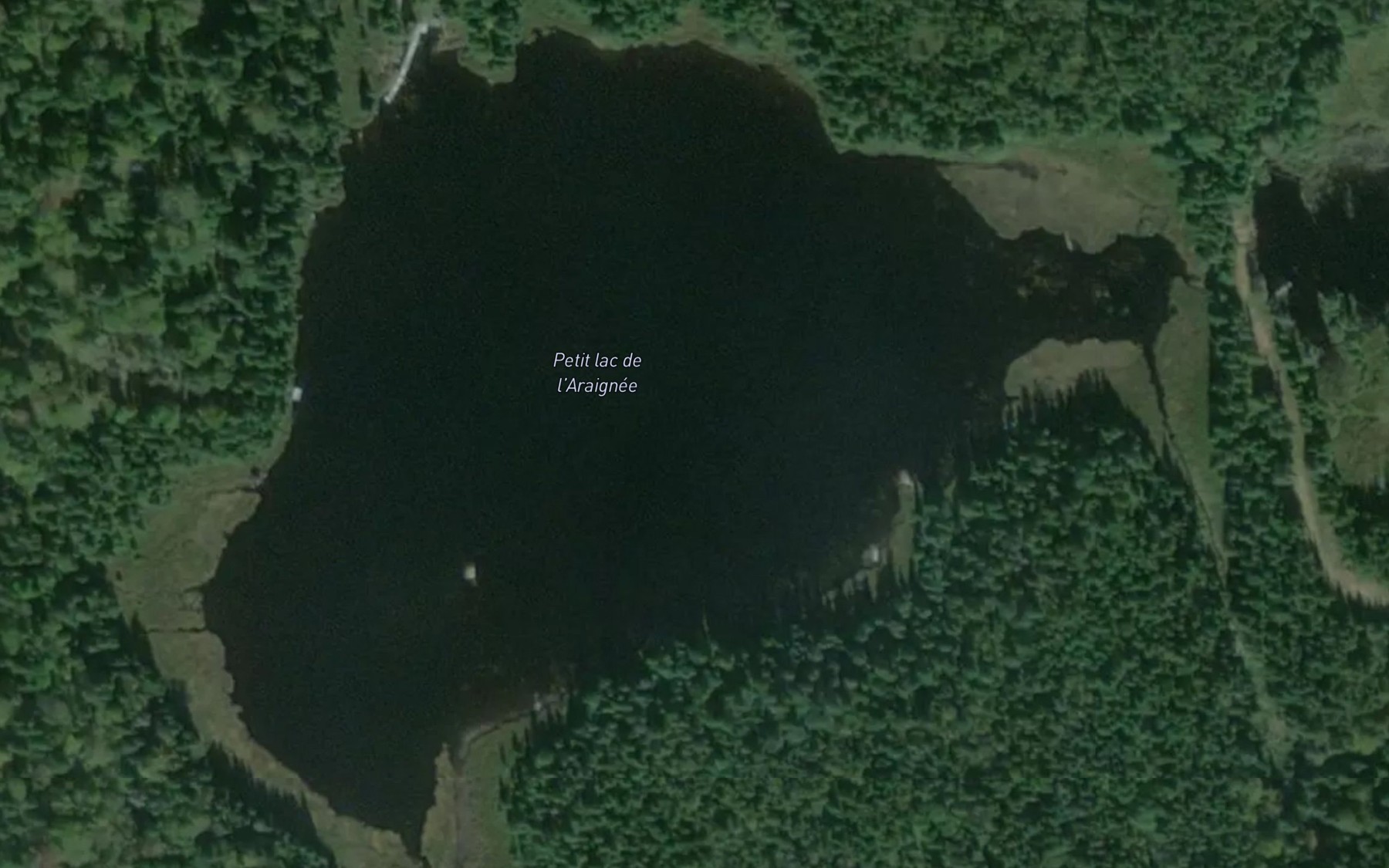 Satellite map of the Petit lac de l'Araignee