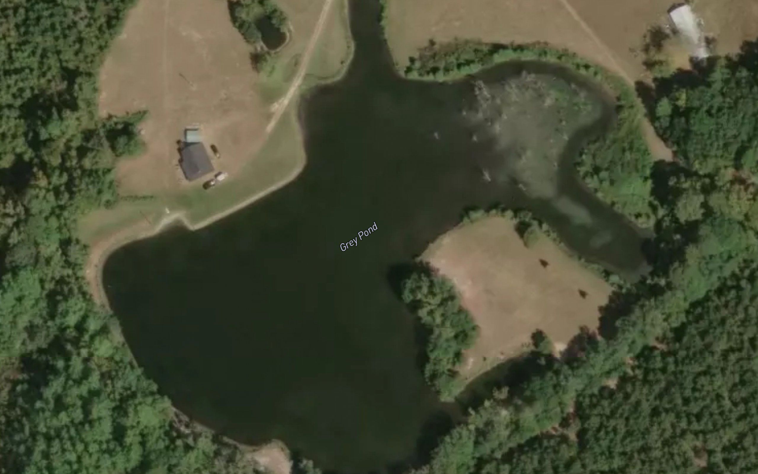 Grey Pond