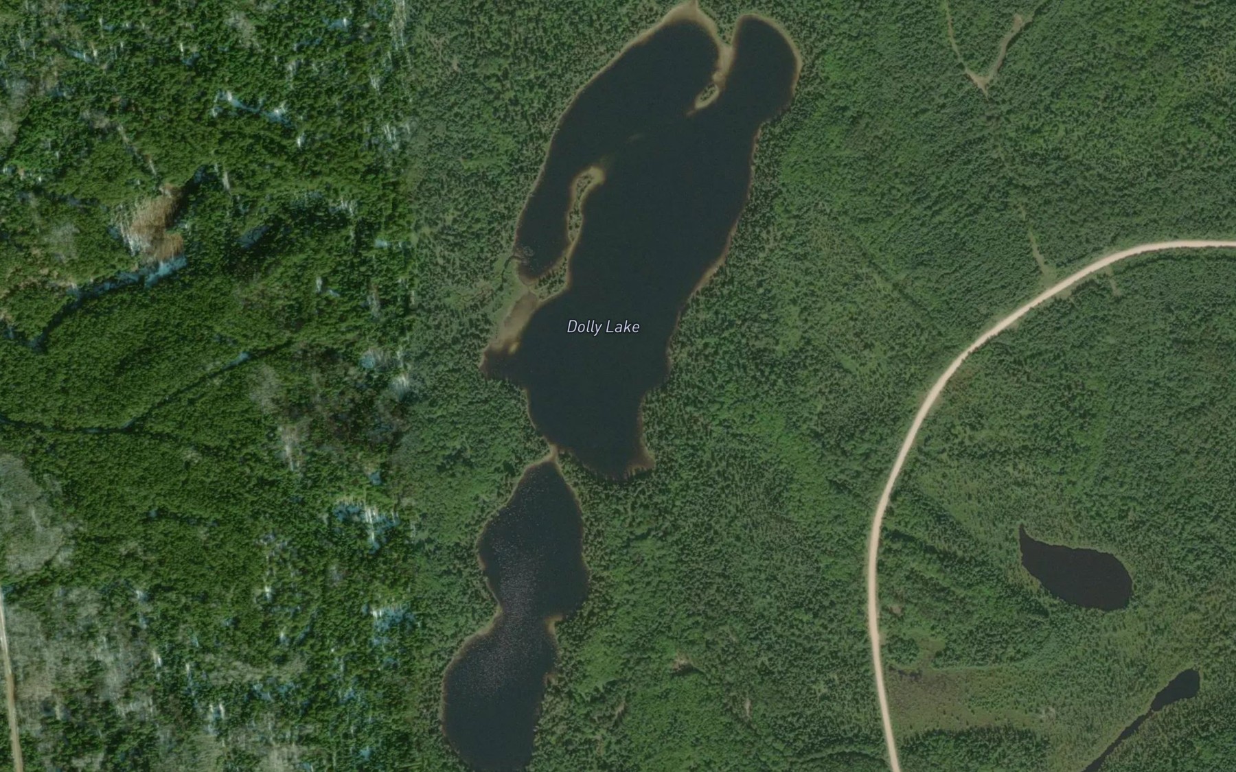 Satellite map of the Dolly Lake