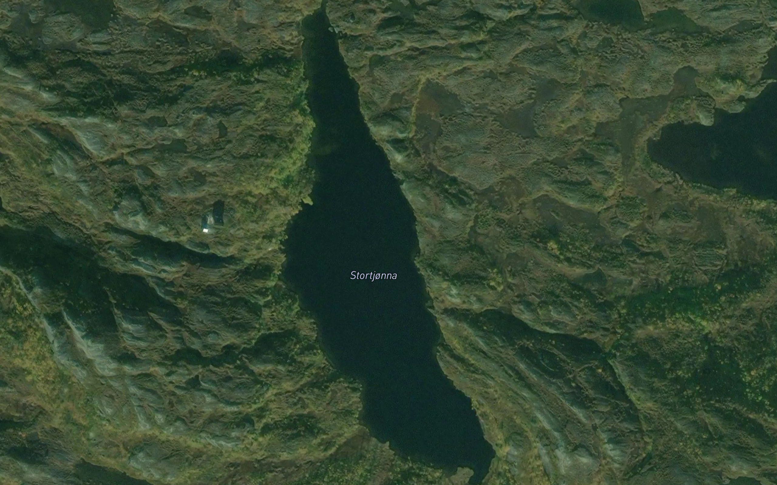 Stortjorna