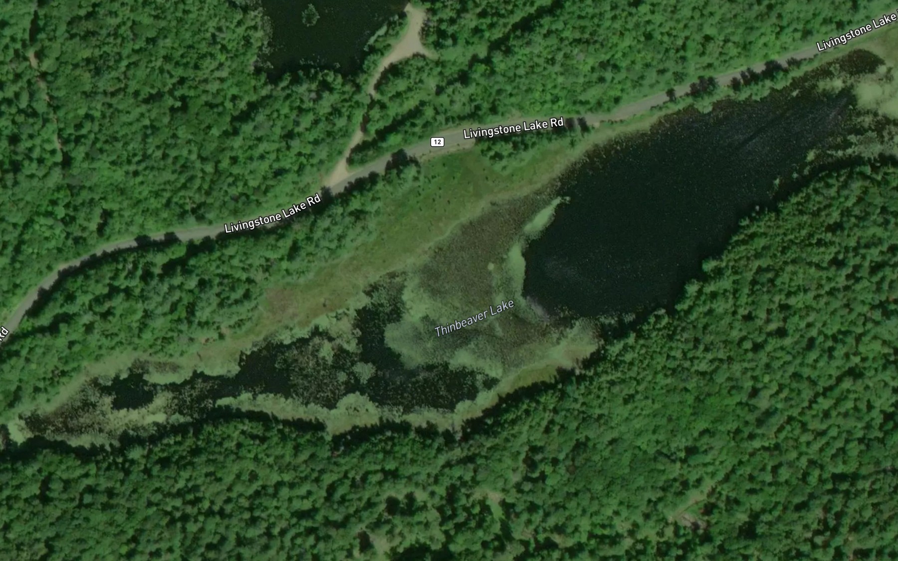 Satellite map of the Thinbeaver Lake
