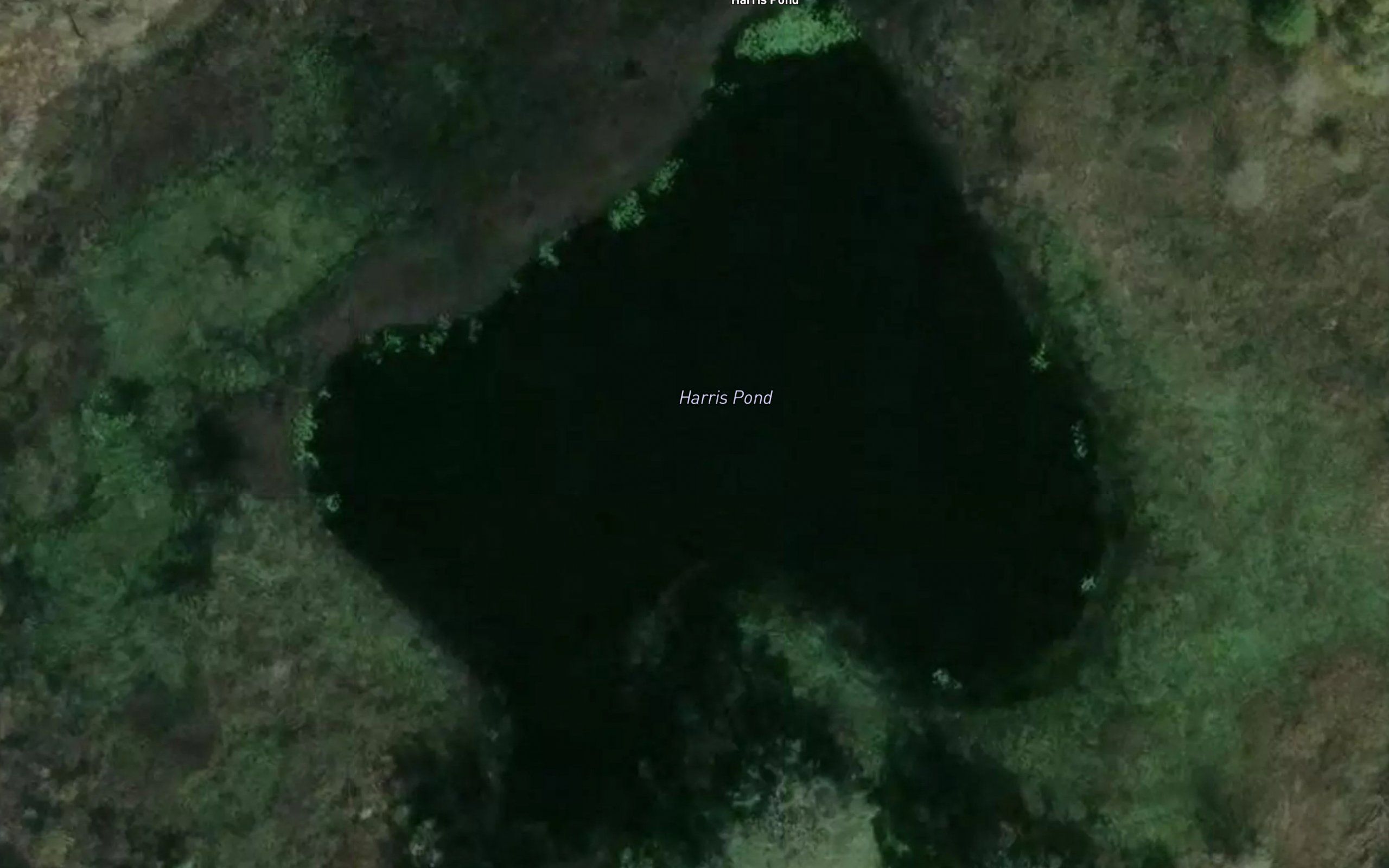 Harris Pond