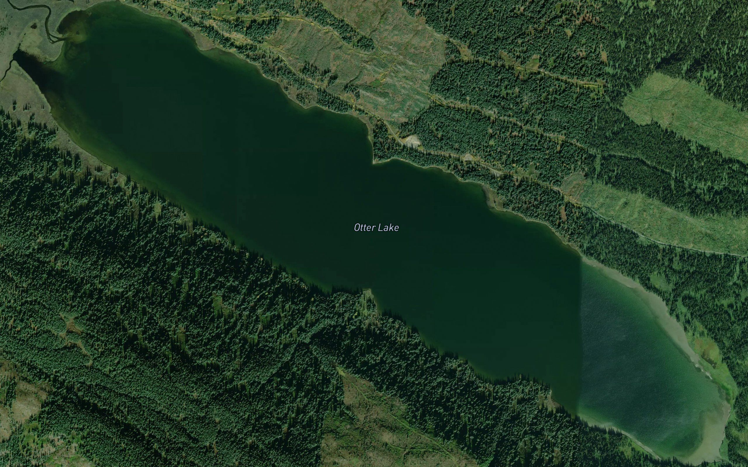 Otter Lake