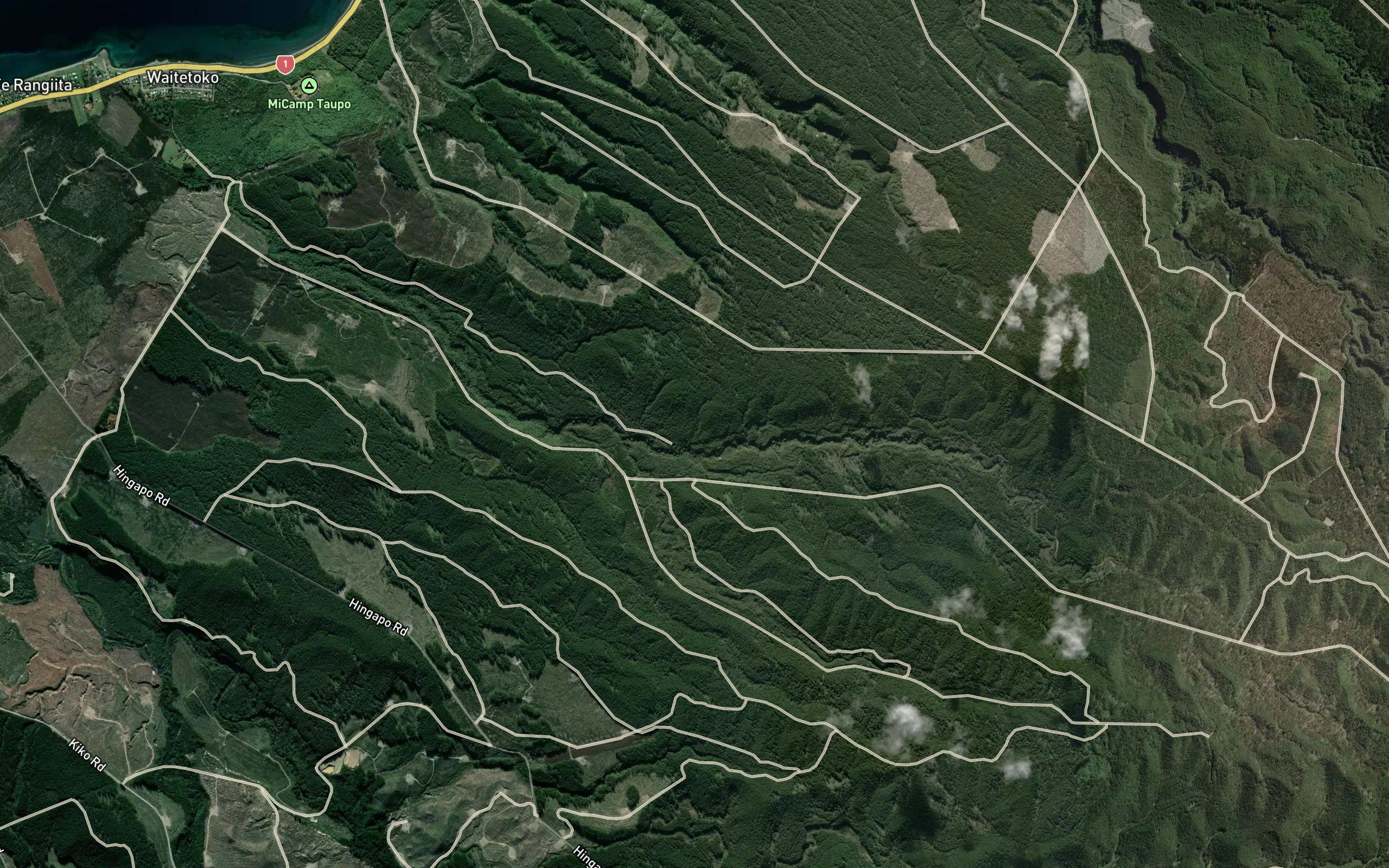 Whataroa Stream