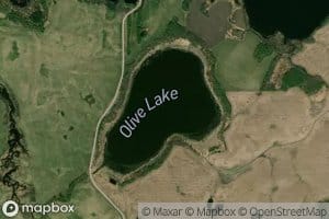 Olive Lake