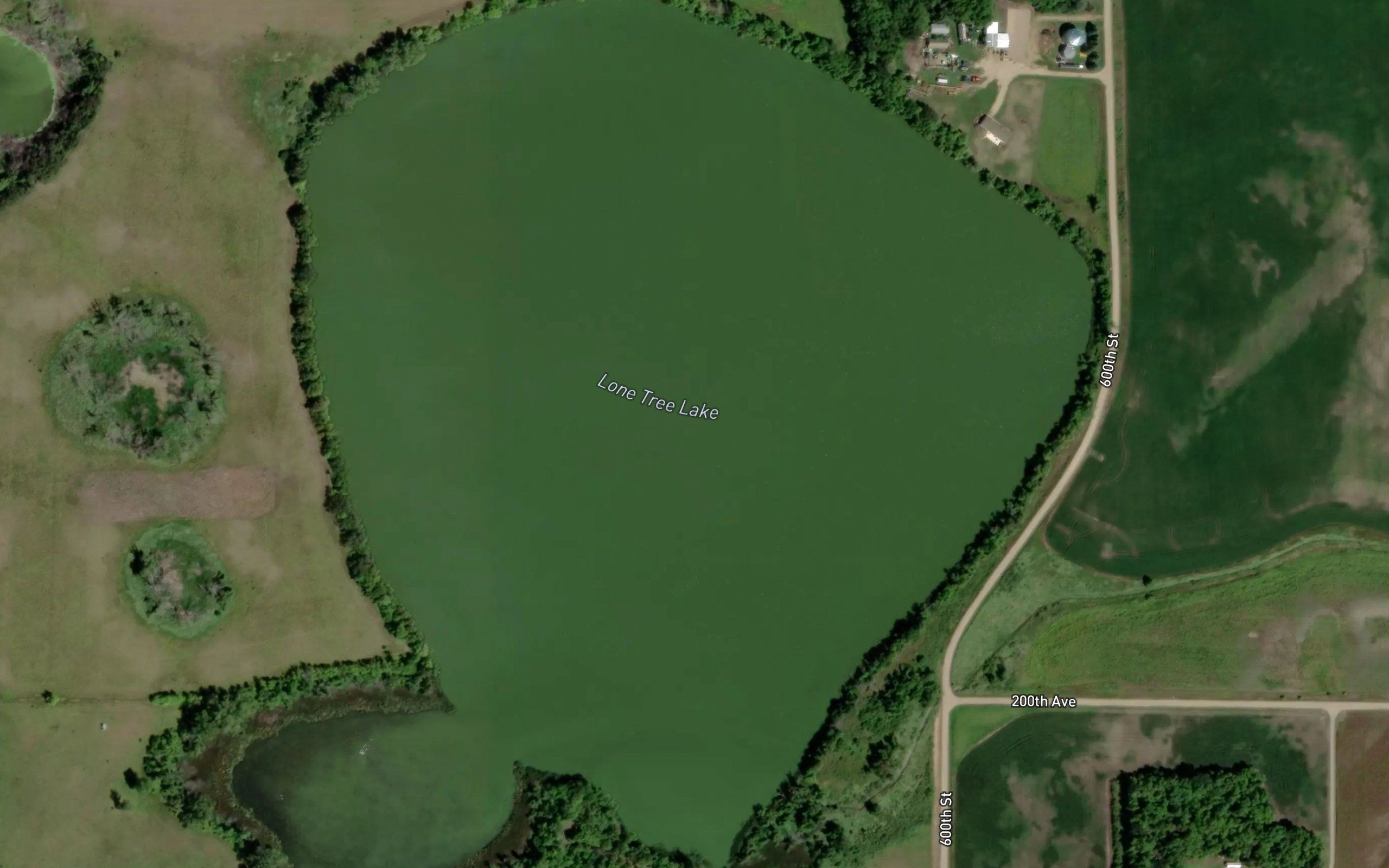 Lone Tree Lake