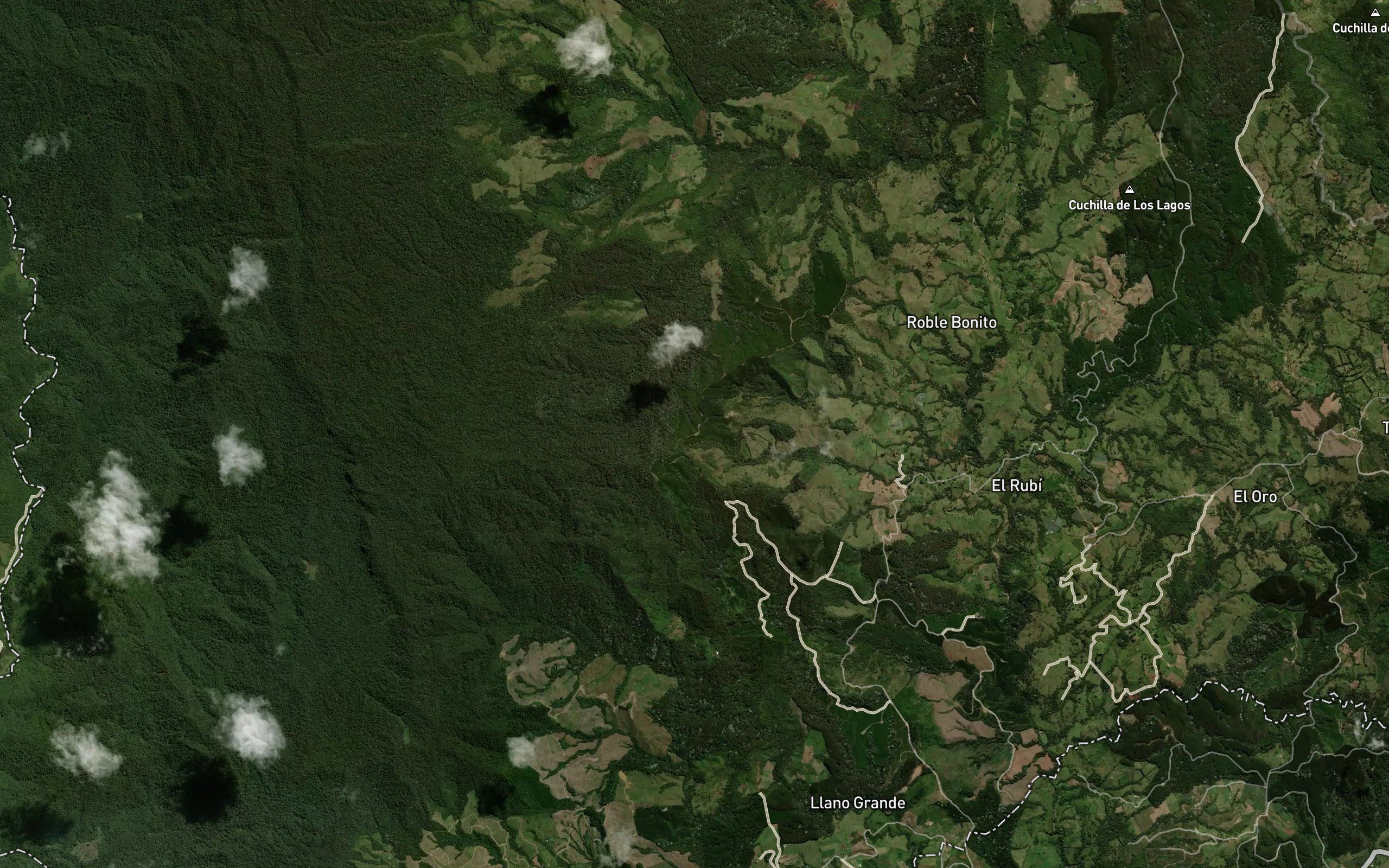 Quebrada Palo Negro