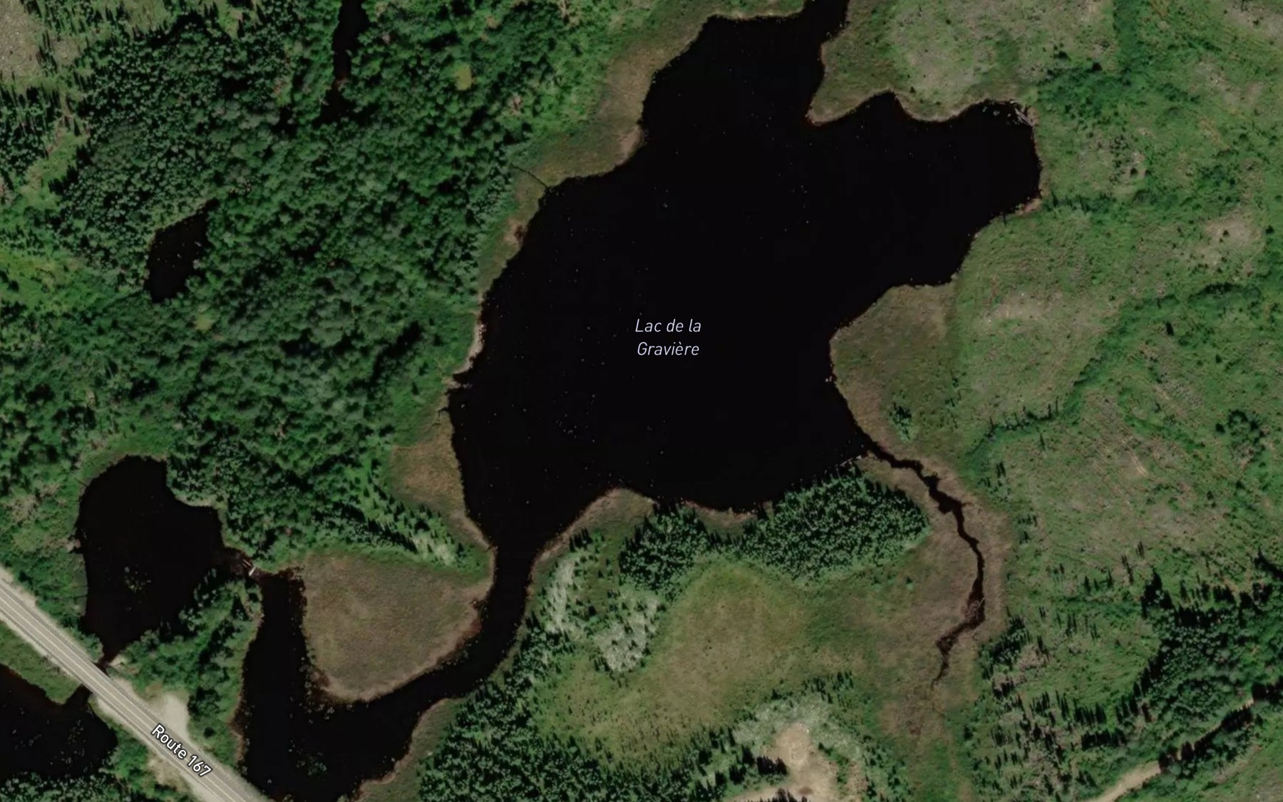 Satellite map of the Lac de la Graviere