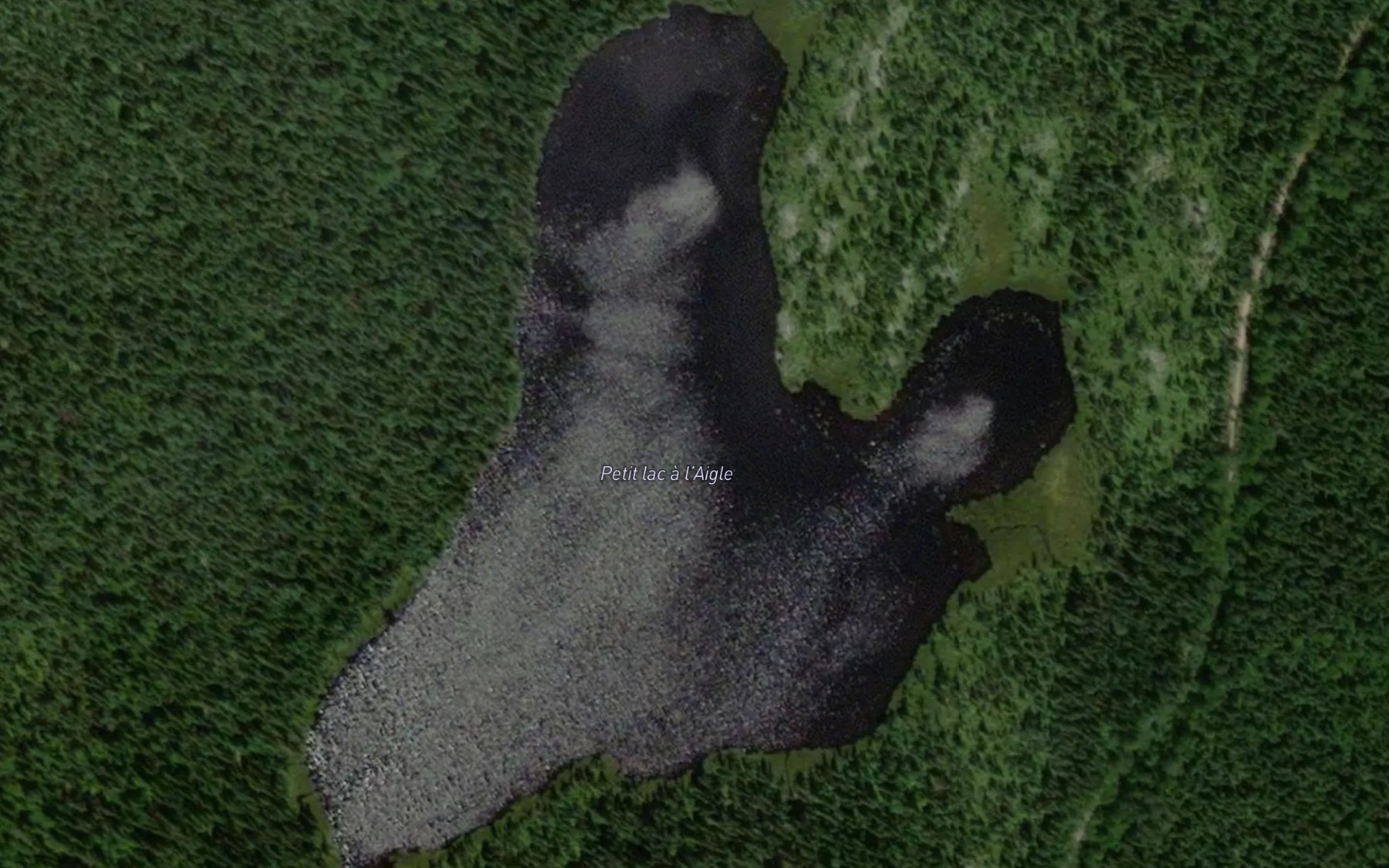 Satellite map of the Petit lac a l'Aigle