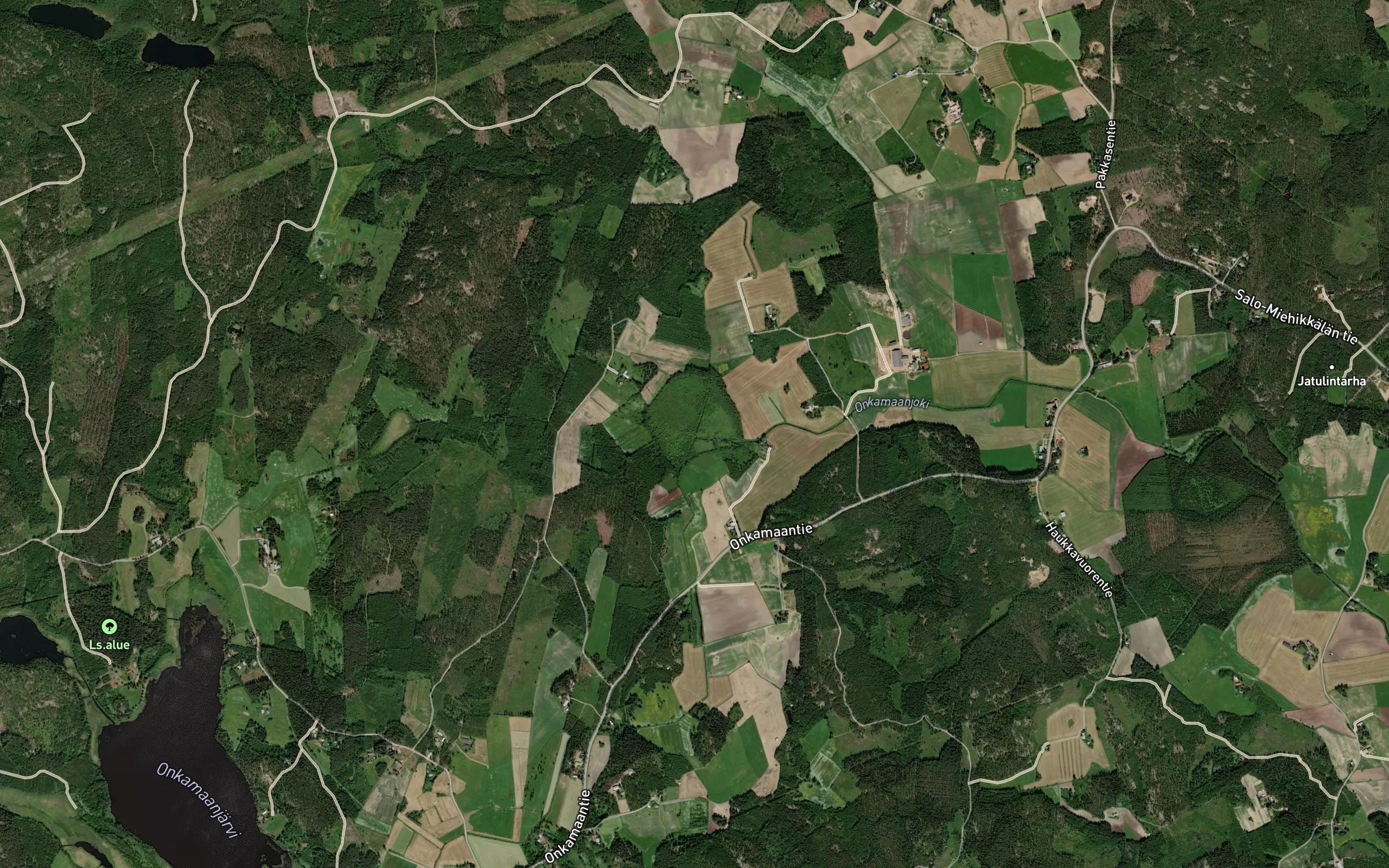Pirinoja
