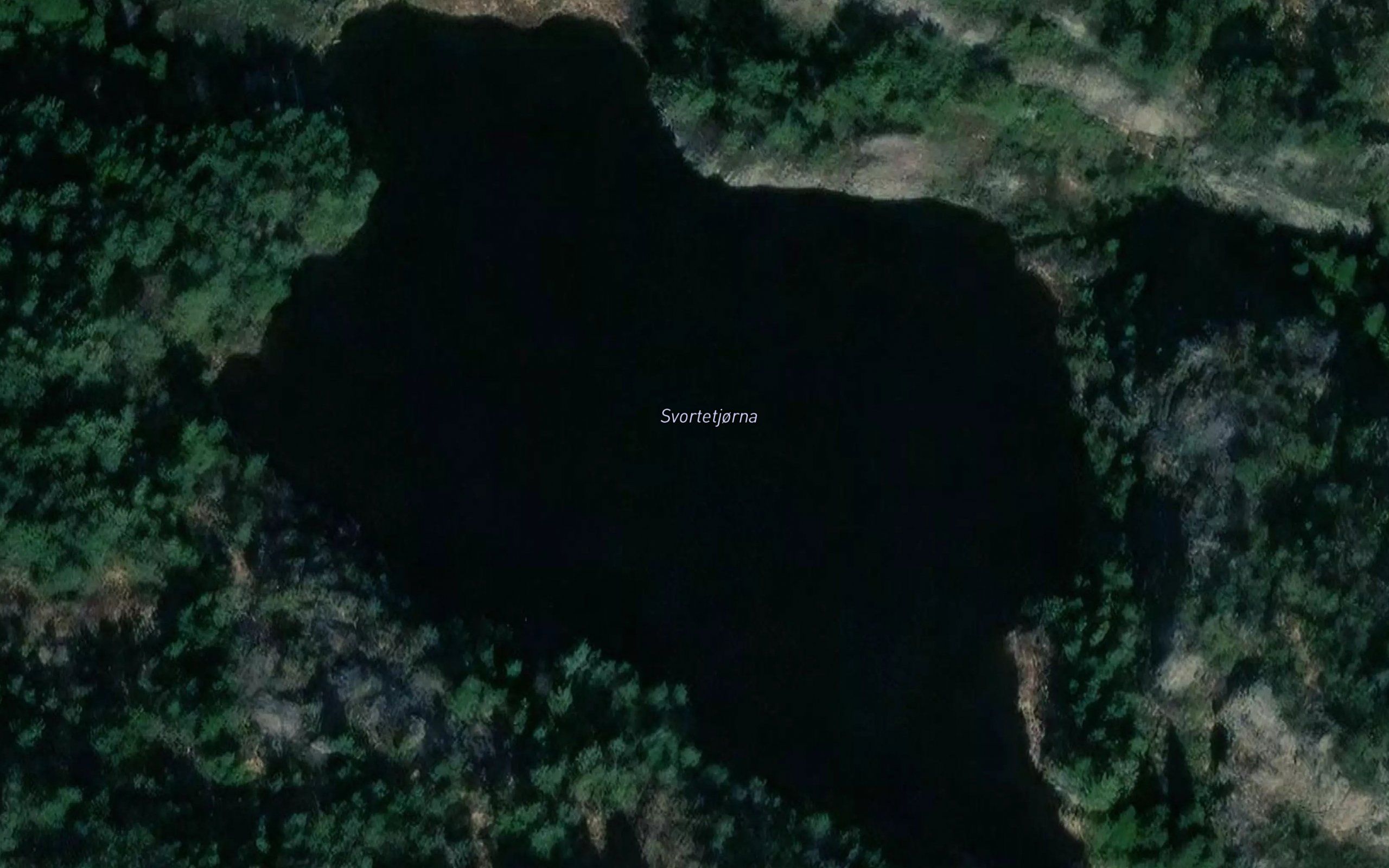 Svortetjorna