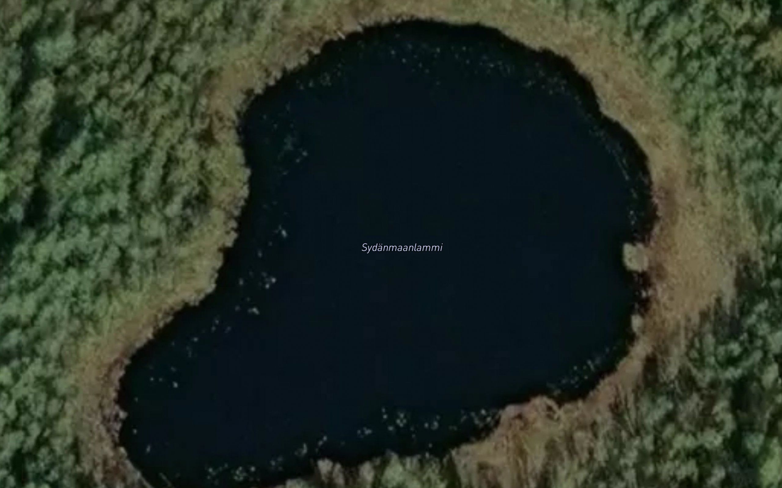 Sydanmaanlammi