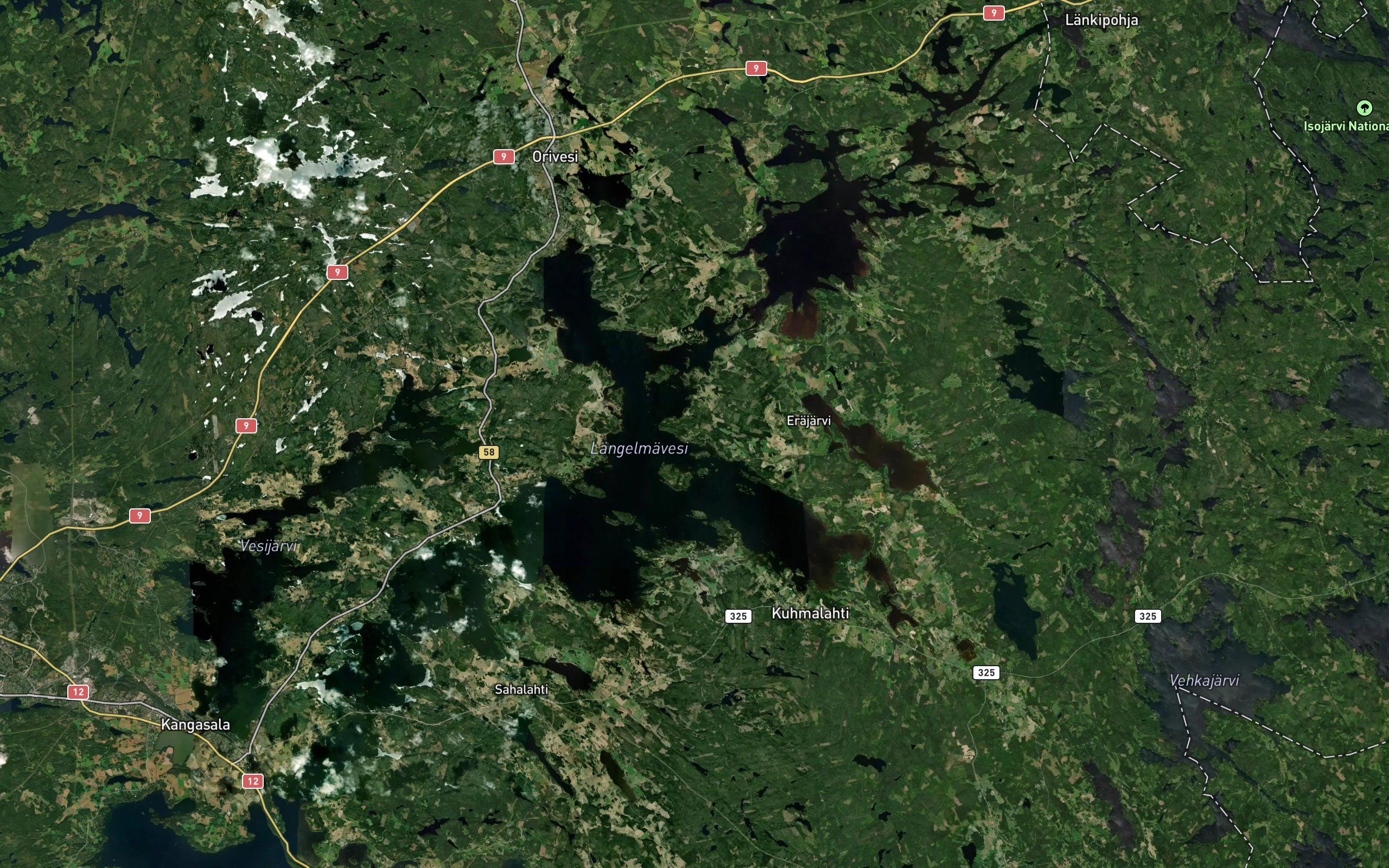 Haapasaarenselka