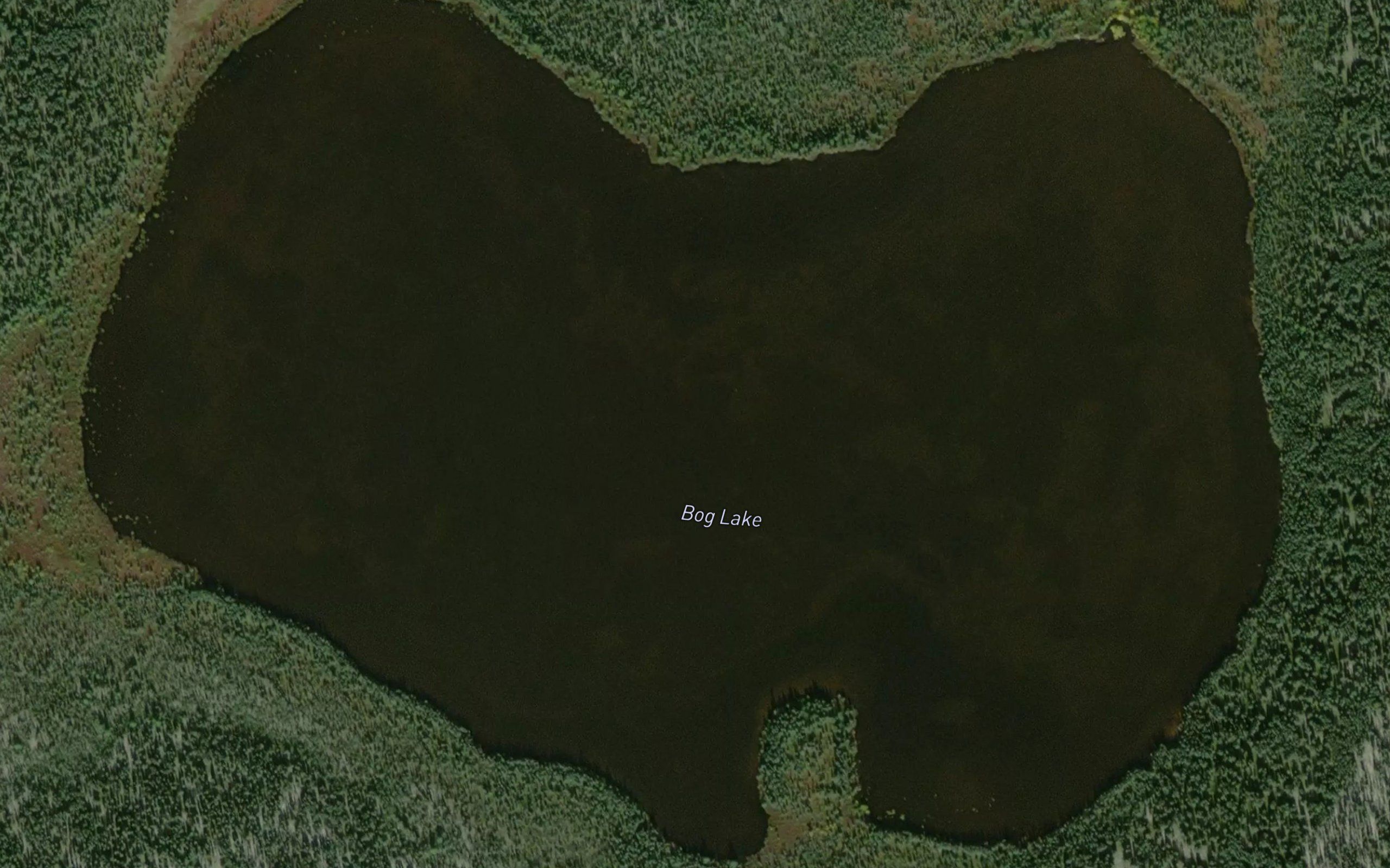 Bog Lake