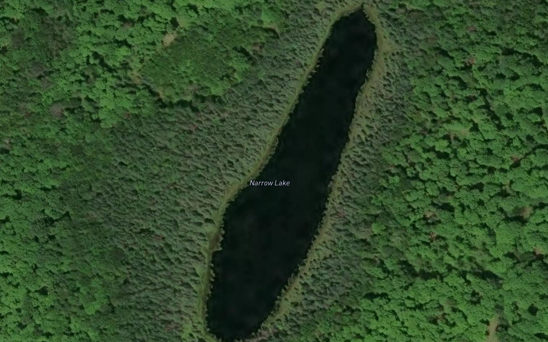 Satellite map of the Narrow Lake