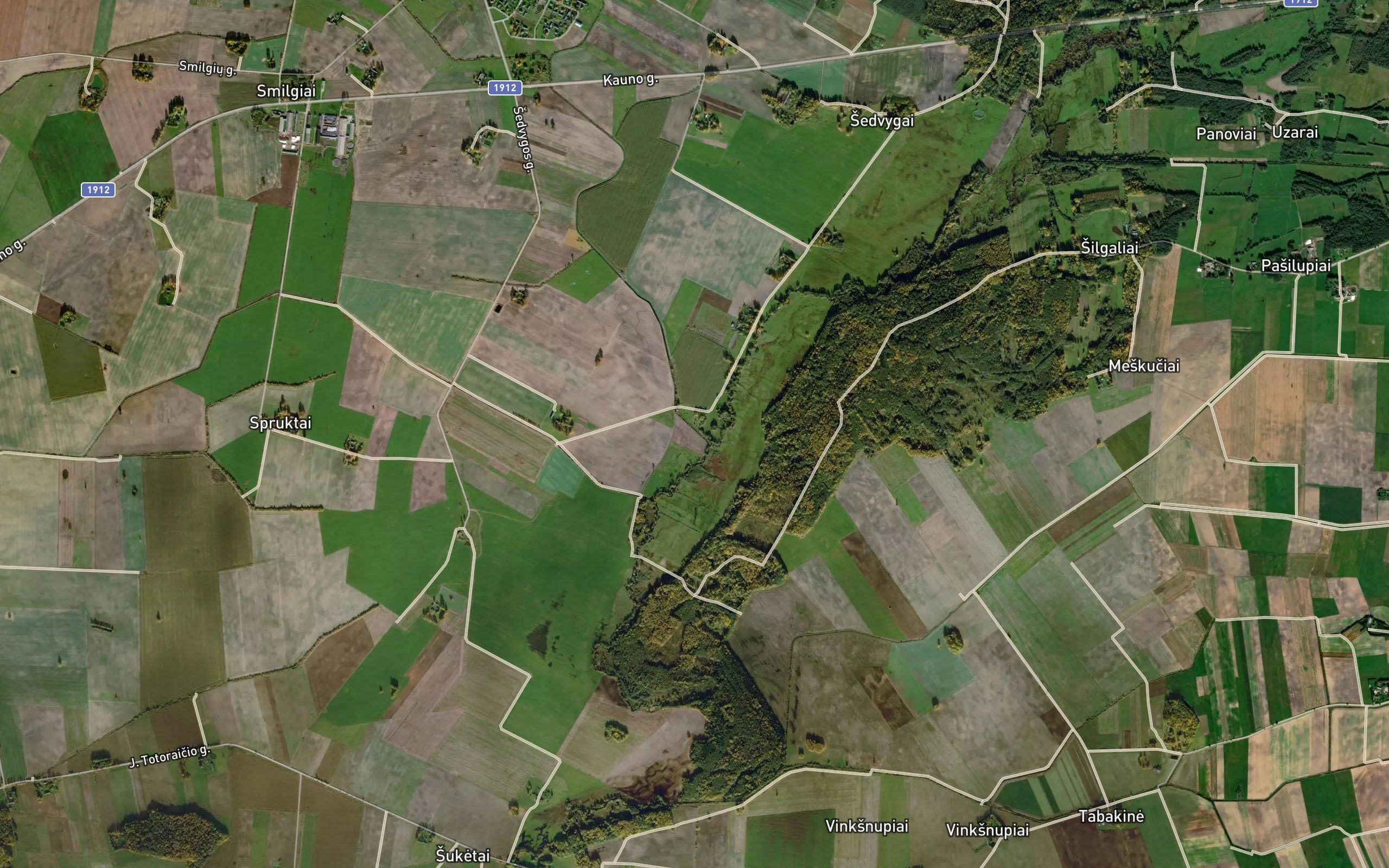 Silupe