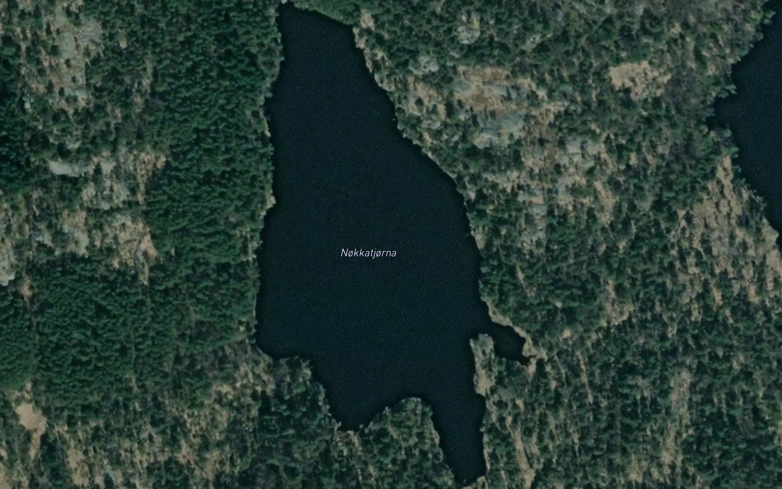 Nokkatjorna