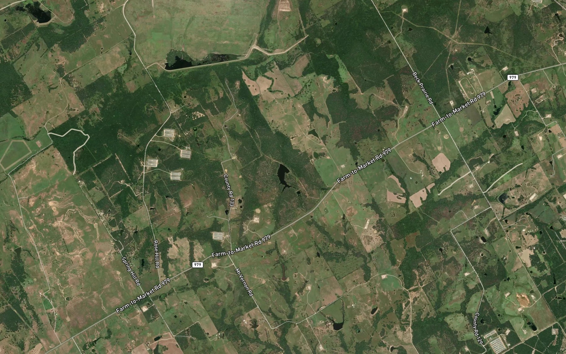 Satellite map of the Lutz Lake