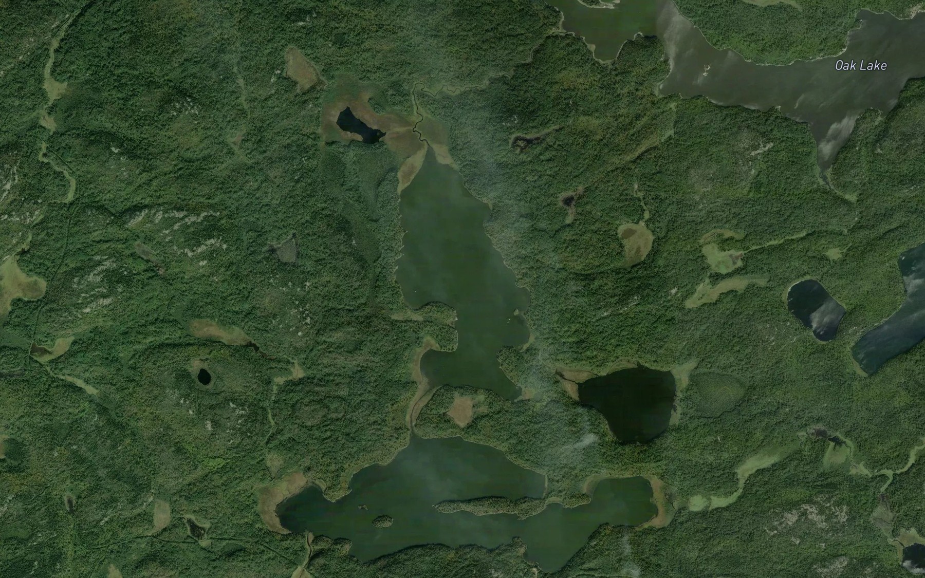 Satellite map of the Alfred Lake