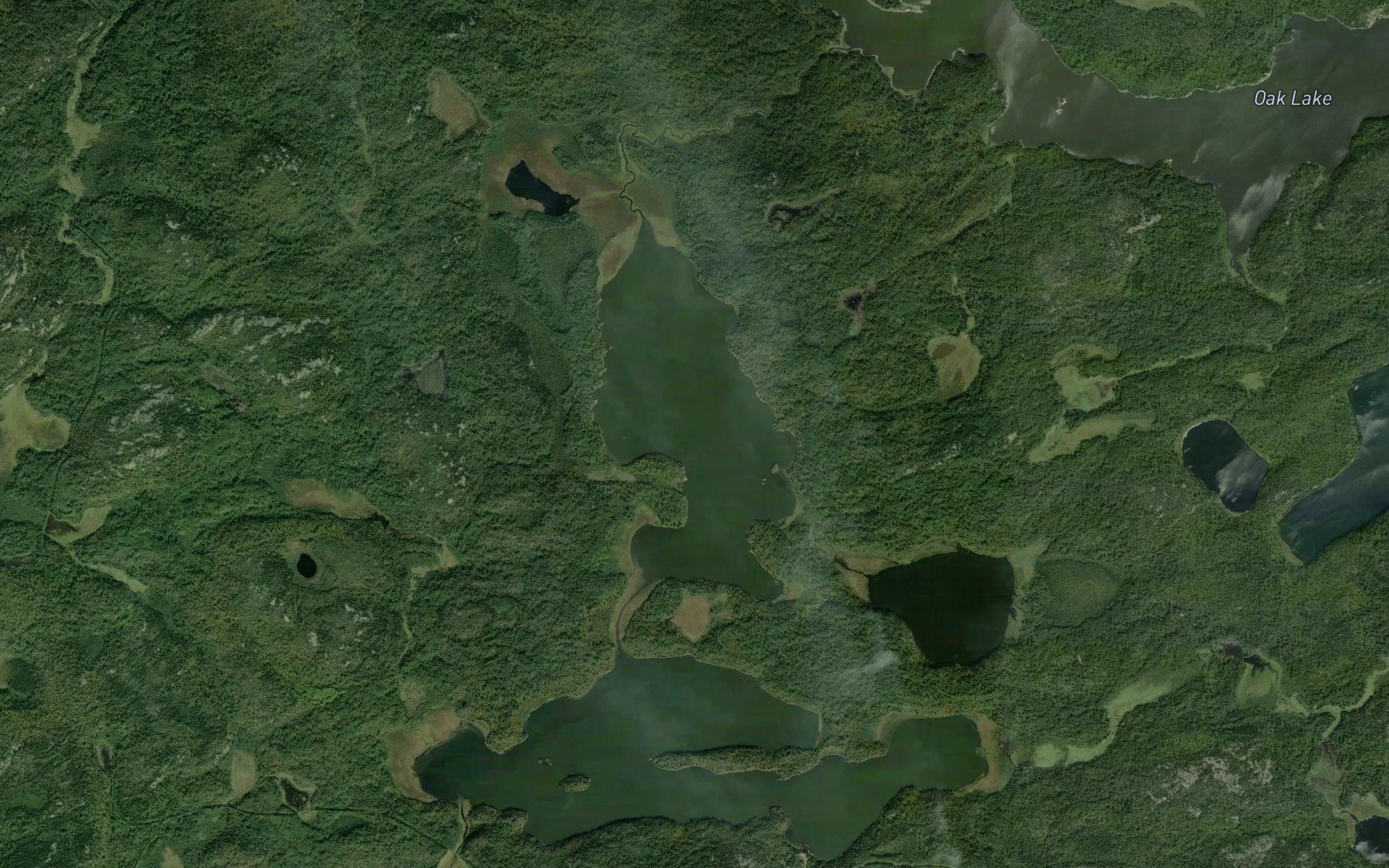 Alfred Lake