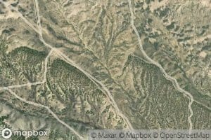 Peeler Spring