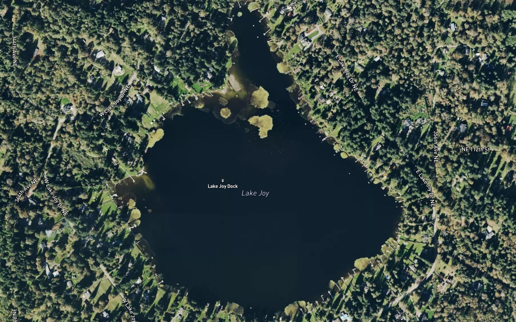 Satellite map of the Lake Joy