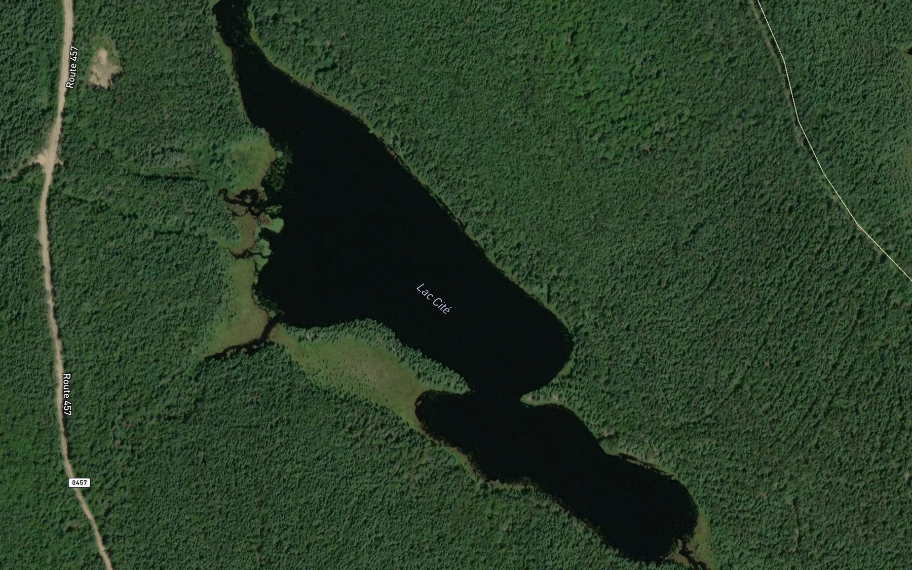 Satellite map of the Lac Cite