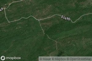 Brigham Young Springs