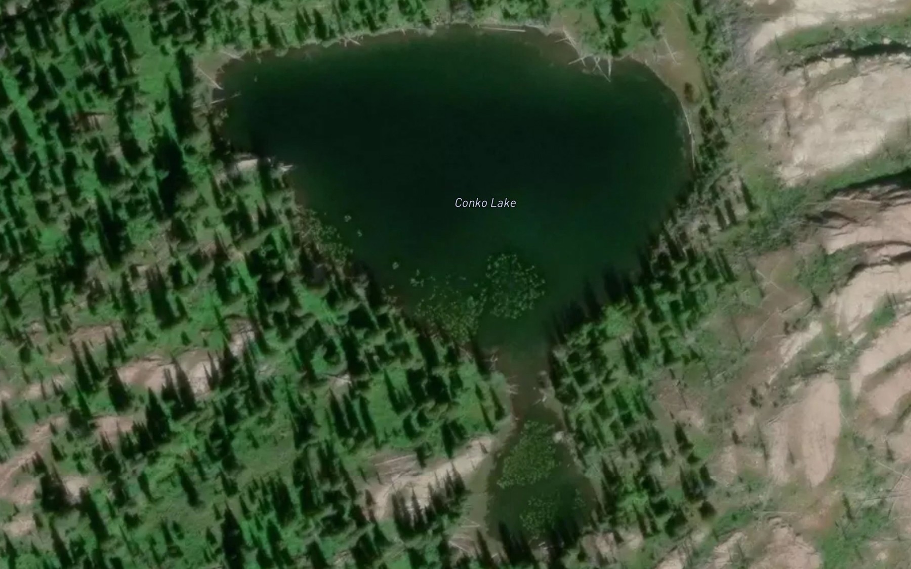 Satellite map of the Conko Lake