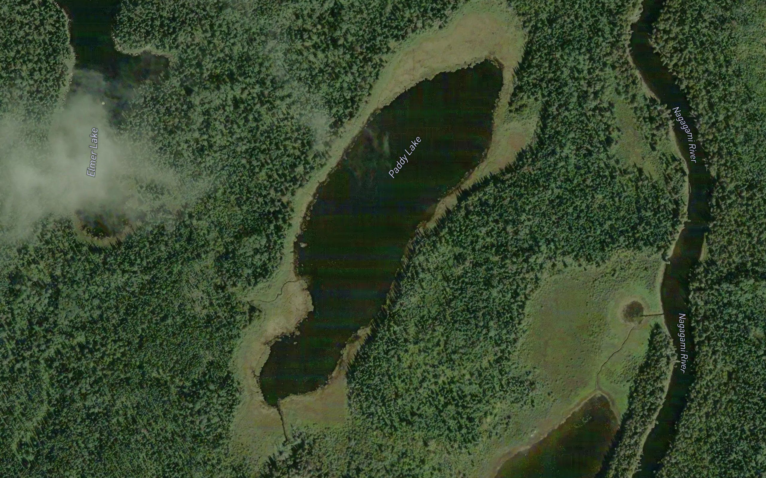 Paddy Lake