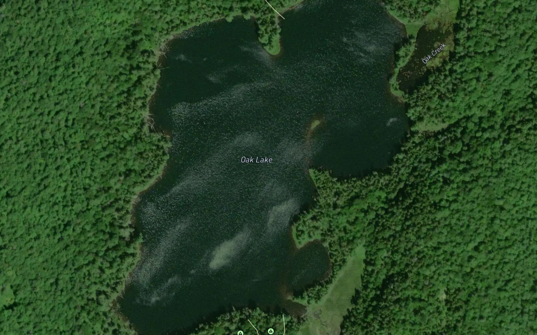 Satellite map of the Oak Lake