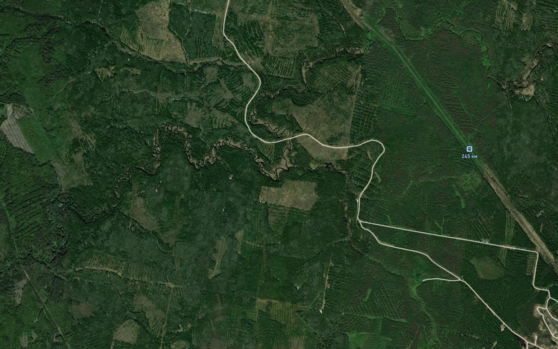 Satellite map of the Dresvyanitsa