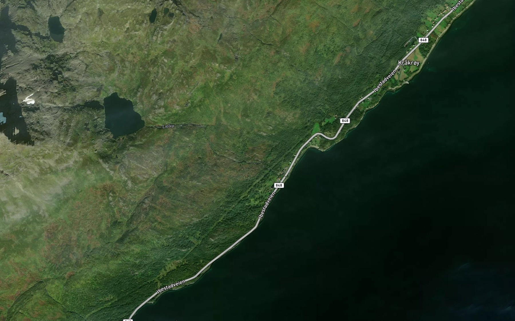 Satellite map of the Lielva