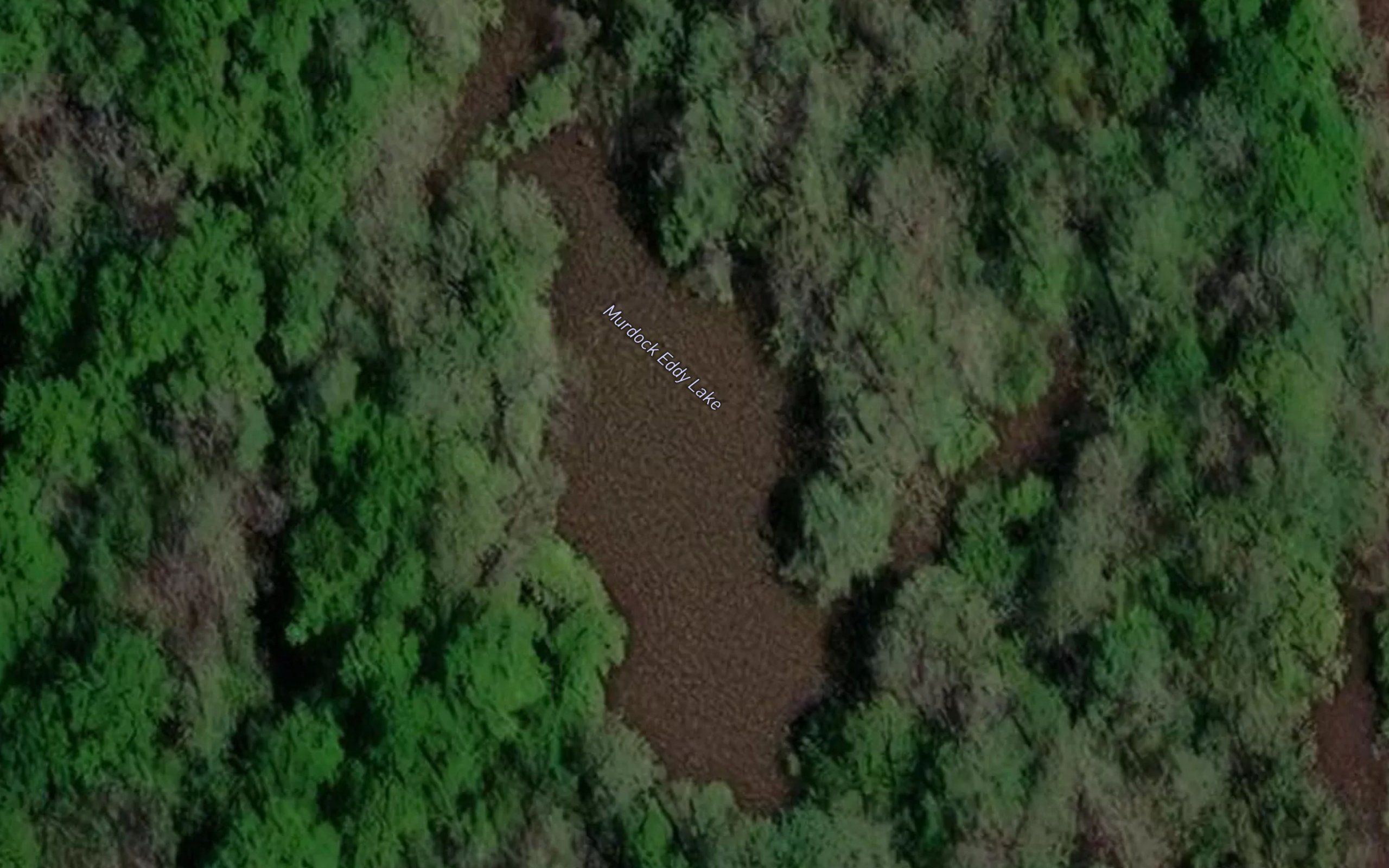Murdock Eddy Lake