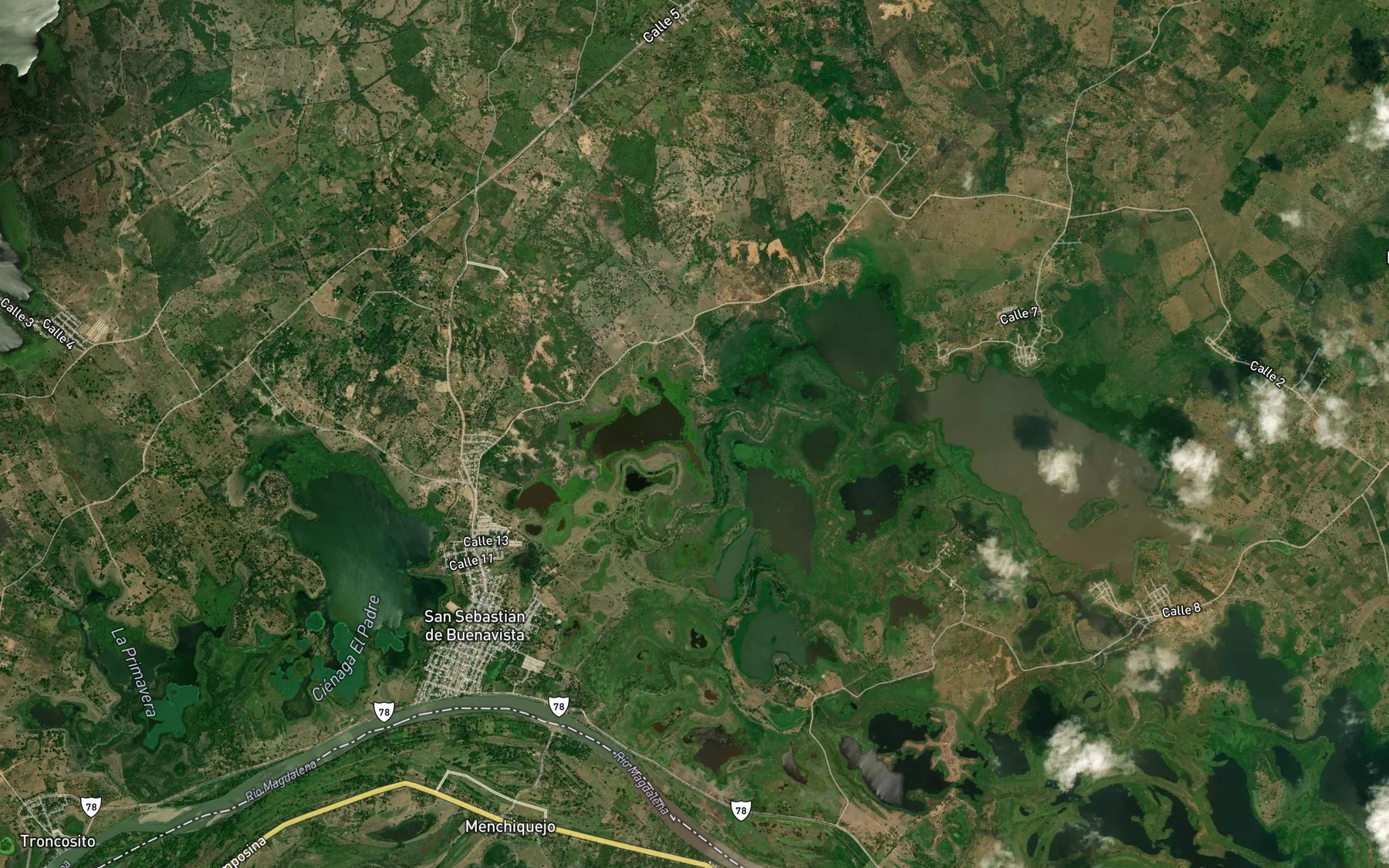 Satellite map of the Cienaga Carrillo