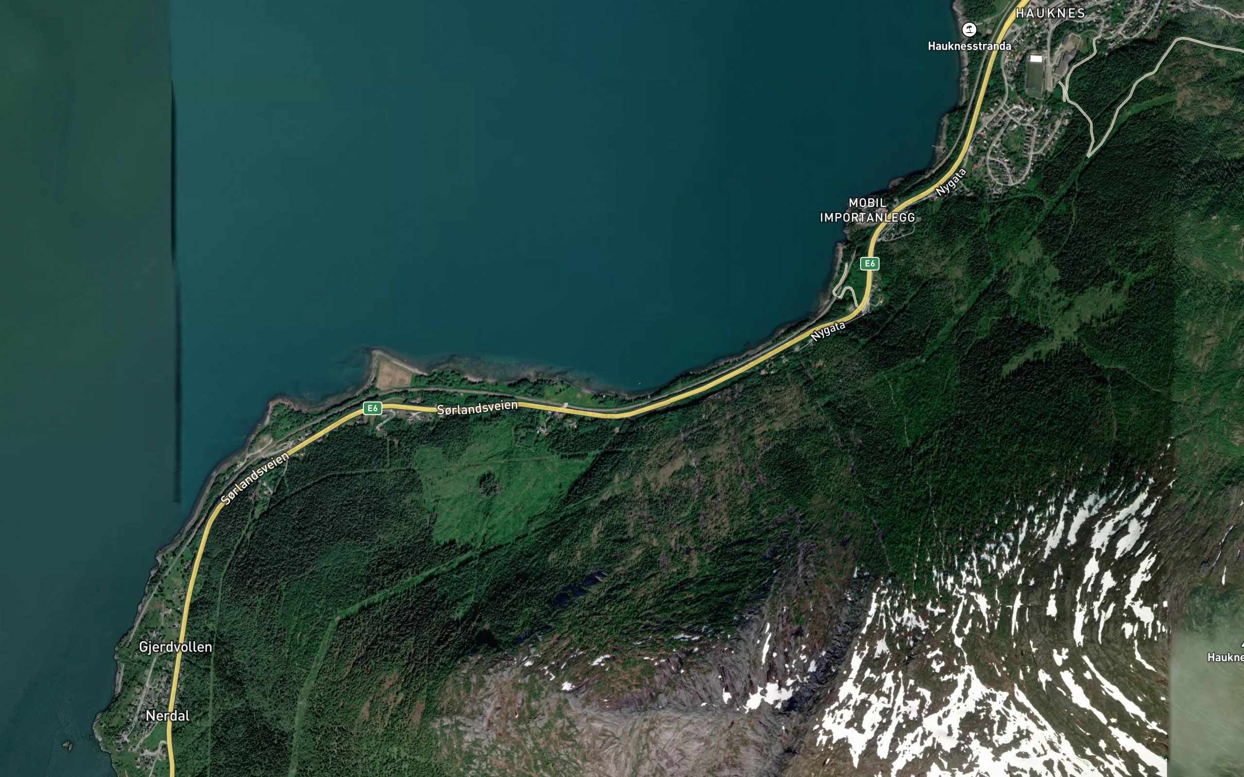 Kokvika
