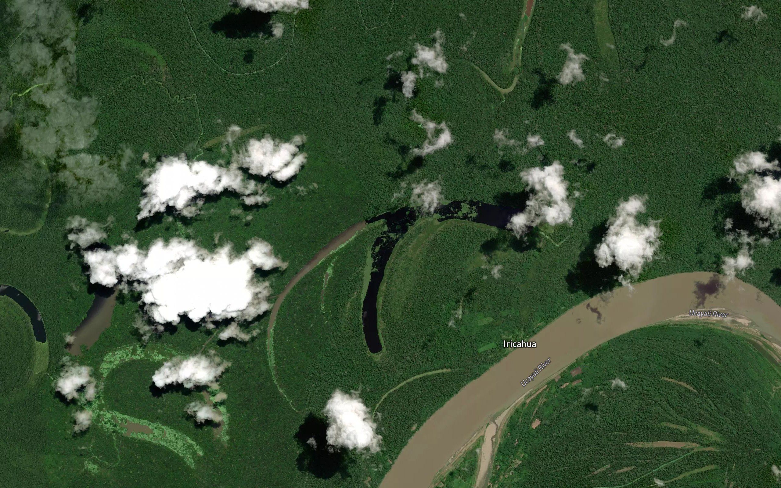Laguna Muerta