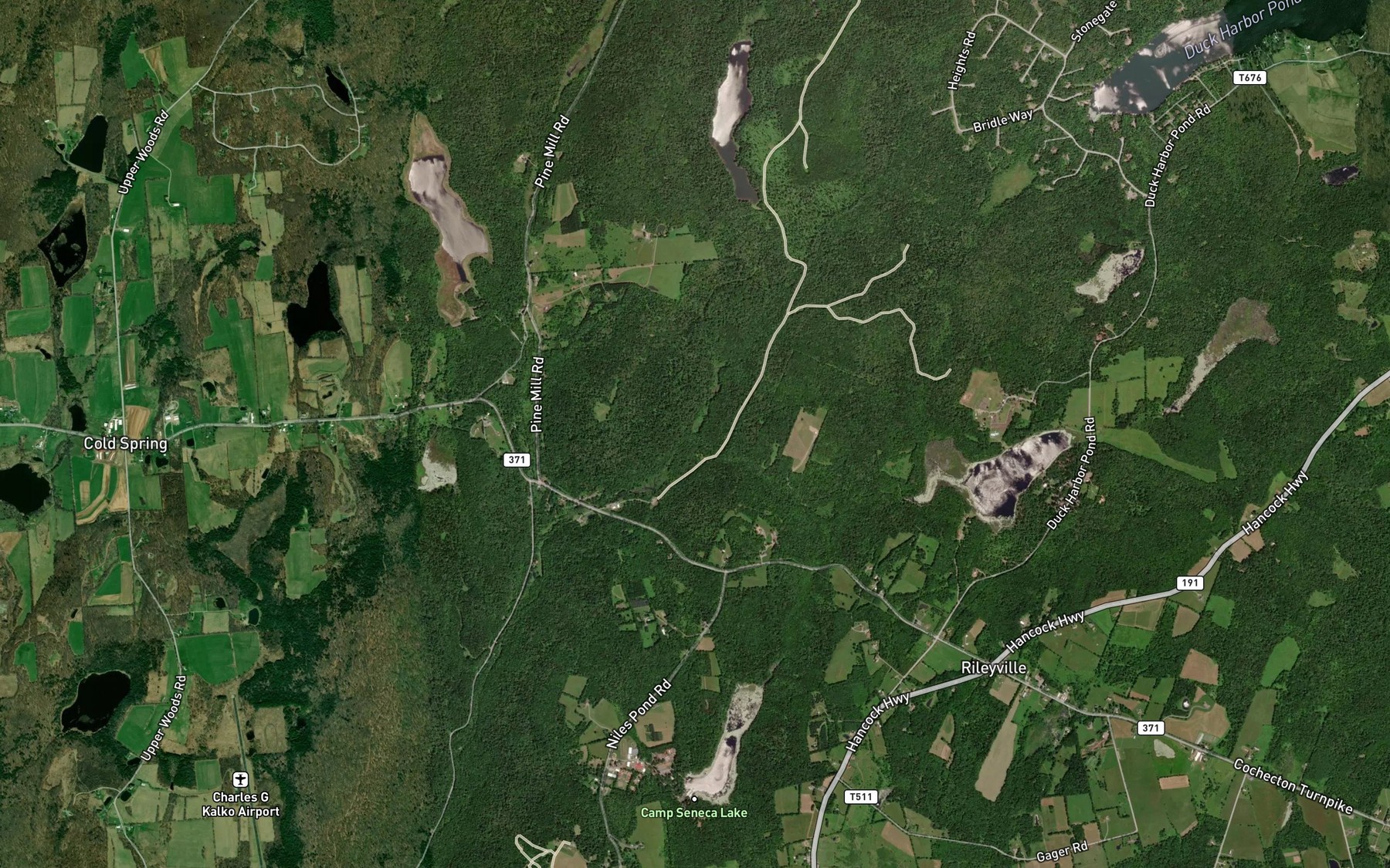 Satellite map of the Alder Marsh Brook