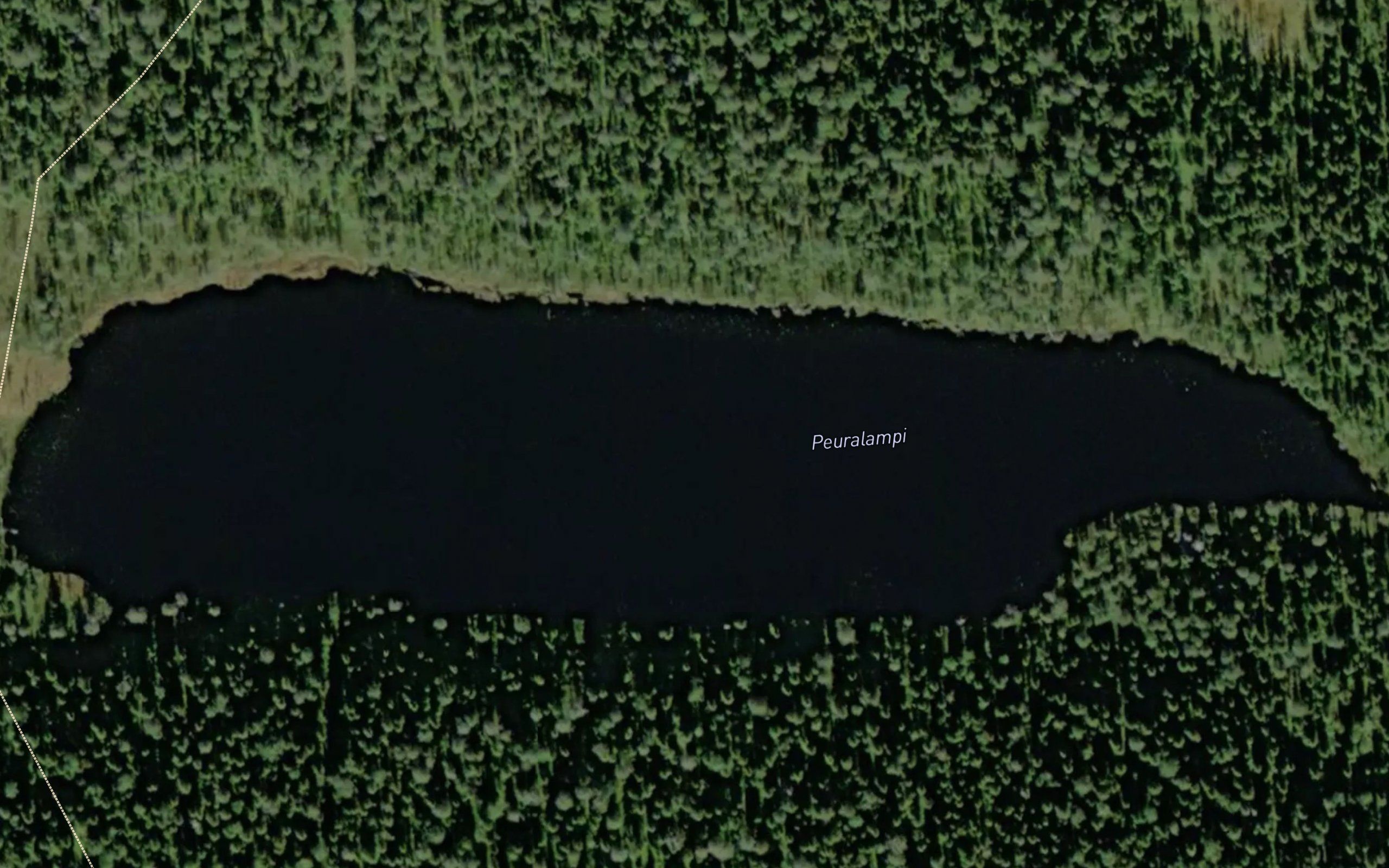 Peuralampi